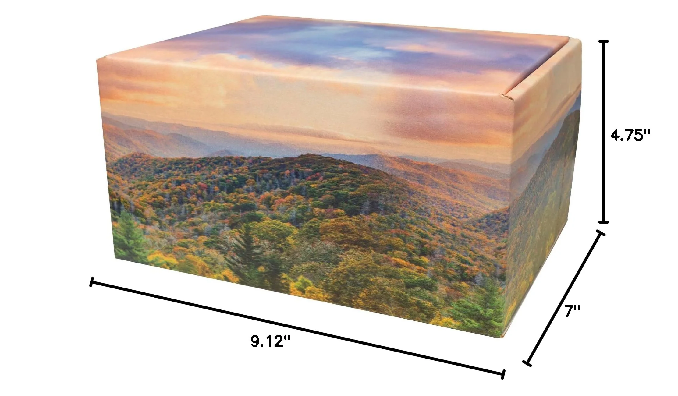 Mountain Themed TSA Approved Fly-Safe and Temporary Travel Cremation Urn Kit for Human Ashes - Airline and Mail Friendly - 200 Cubic Inch Capacity - Green Plastic Urn with Mountains Mailing Box Mountain - Image 9