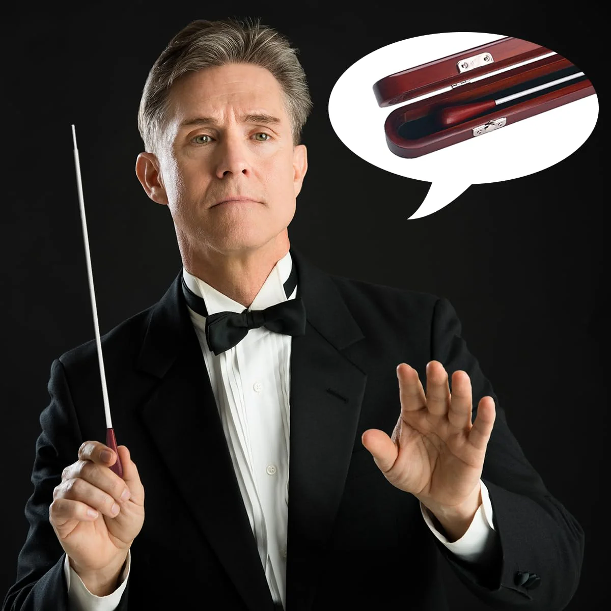 Music Conducting Baton Music Baton Orchestra Baton Wood Handle with Wooden Gift Box R135C - Image 2