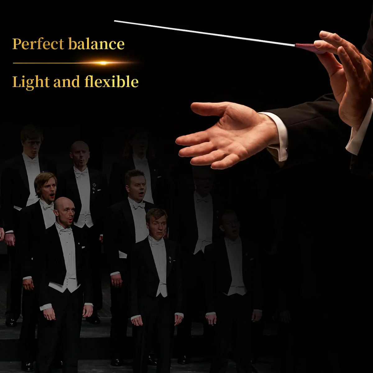 Music Conducting Baton Music Baton Orchestra Baton Wood Handle with Wooden Gift Box R135C - Image 5