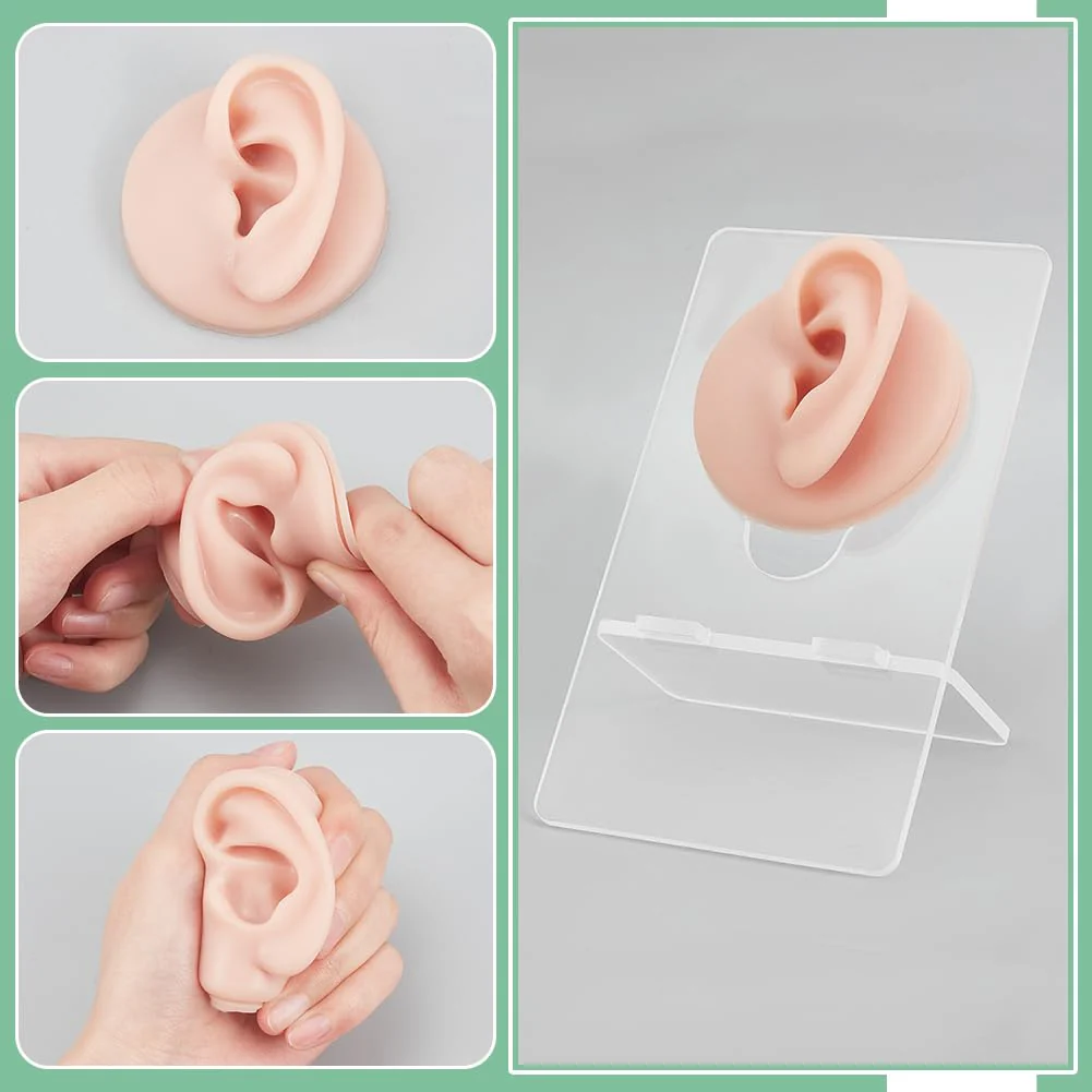 nbeads Set of 2 Silicone Ear Model with Acrylic Stand, Left and Right Flexible Model Piercing Practice Realistic Soft Ear Shape for Jewellery Display Acupuncture Mannequin Teaching - Image 3