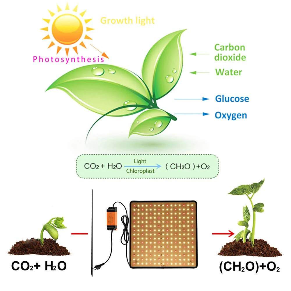 OROMYO Plant Lamp LED Full Spectrum 225 LEDs 1000 W Plant Lamp Cultivation with 4 Hooks Plant Light Hanging LED Grow Light for Greenhouse Plants, Vegetables, Flowers (White + Red) White + Red - Image 4