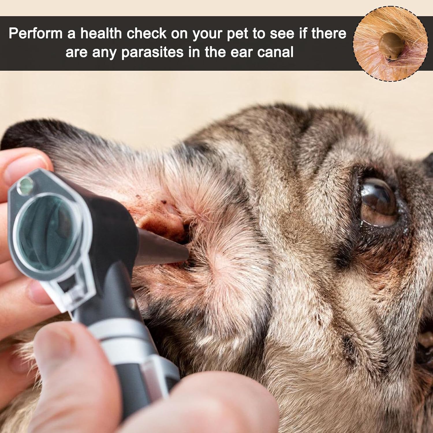 Otoscope with Light, Otoscope with Light with 3x Magnification and 4 Speculum Tips Size, 8 Ear Plugs Otoscope Set with Hard Plastic Case for Adults and Children and Pets Black - Image 6