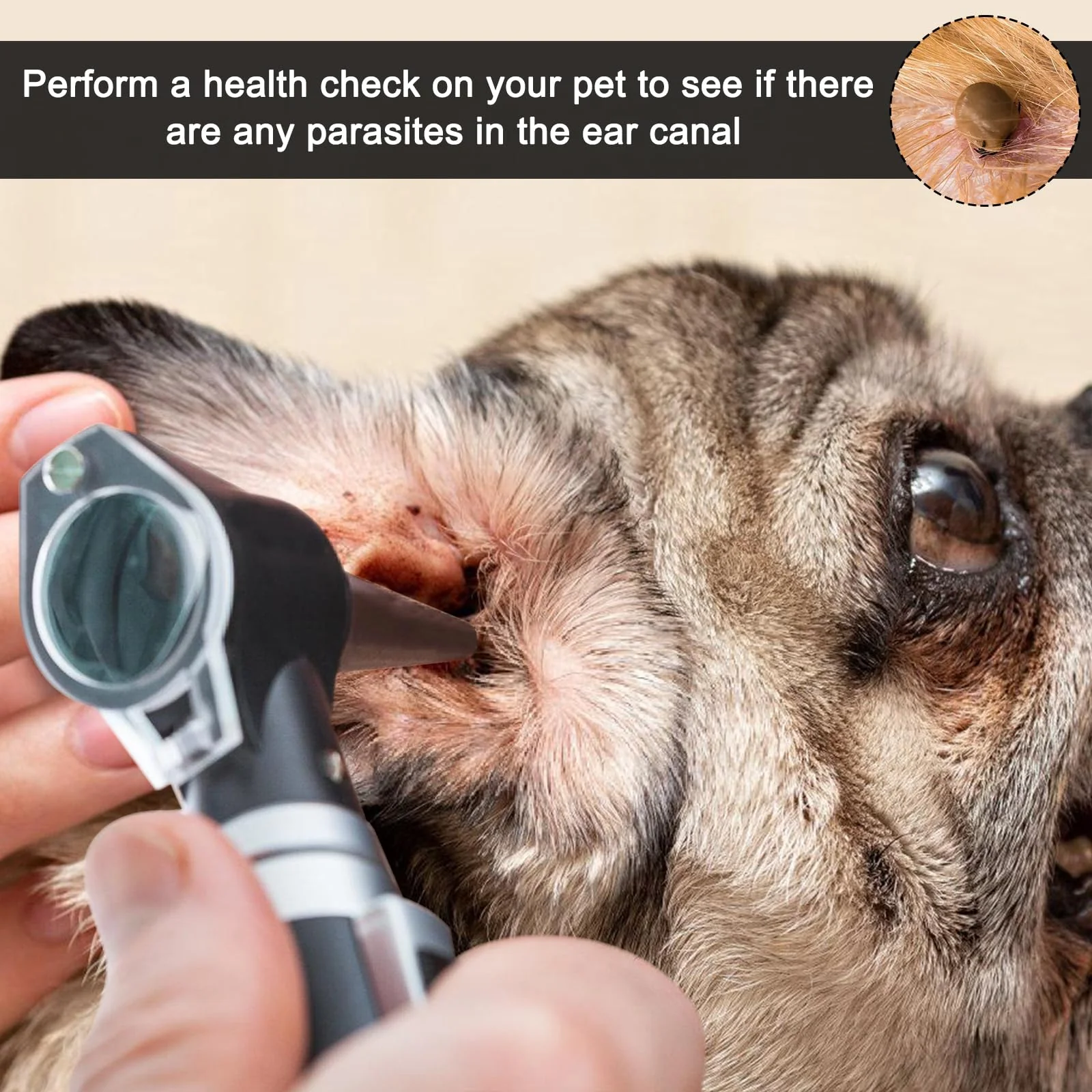 Otoscope with Light, Pocket Diagnostic Ear Infection Detector with Hard Plastic Case, with 3x Magnification and 4 Speculum Tips Size, 8 Earplugs for Adults and Children and Pets (Black) - Image 6