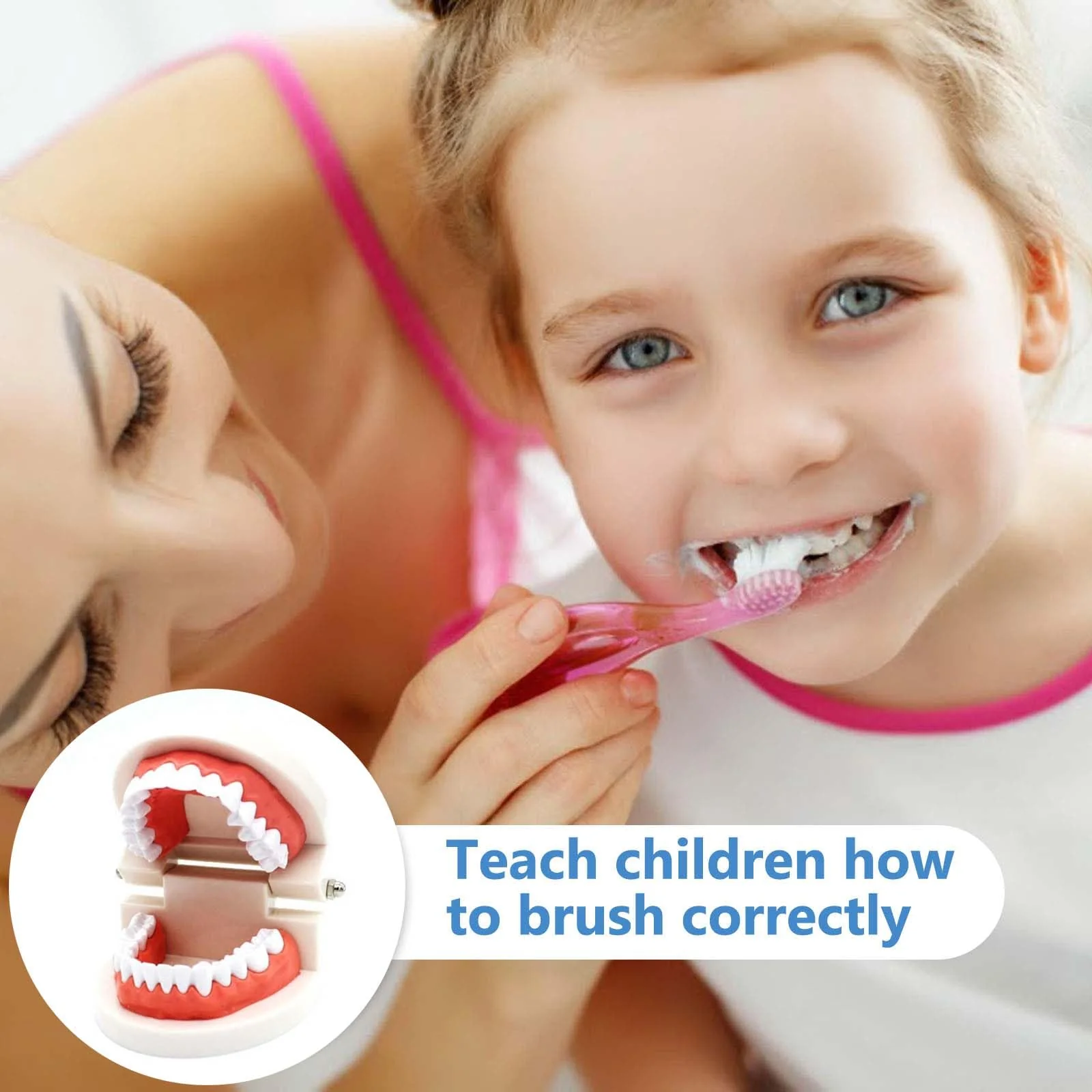 Pack of 2 Teeth Model with 2 Toothbrushes, Children's Tooth Model, Dental Model, PVC Dental Care Model for Dental Teaching or Oral Care, for Dental Clinics - Image 4
