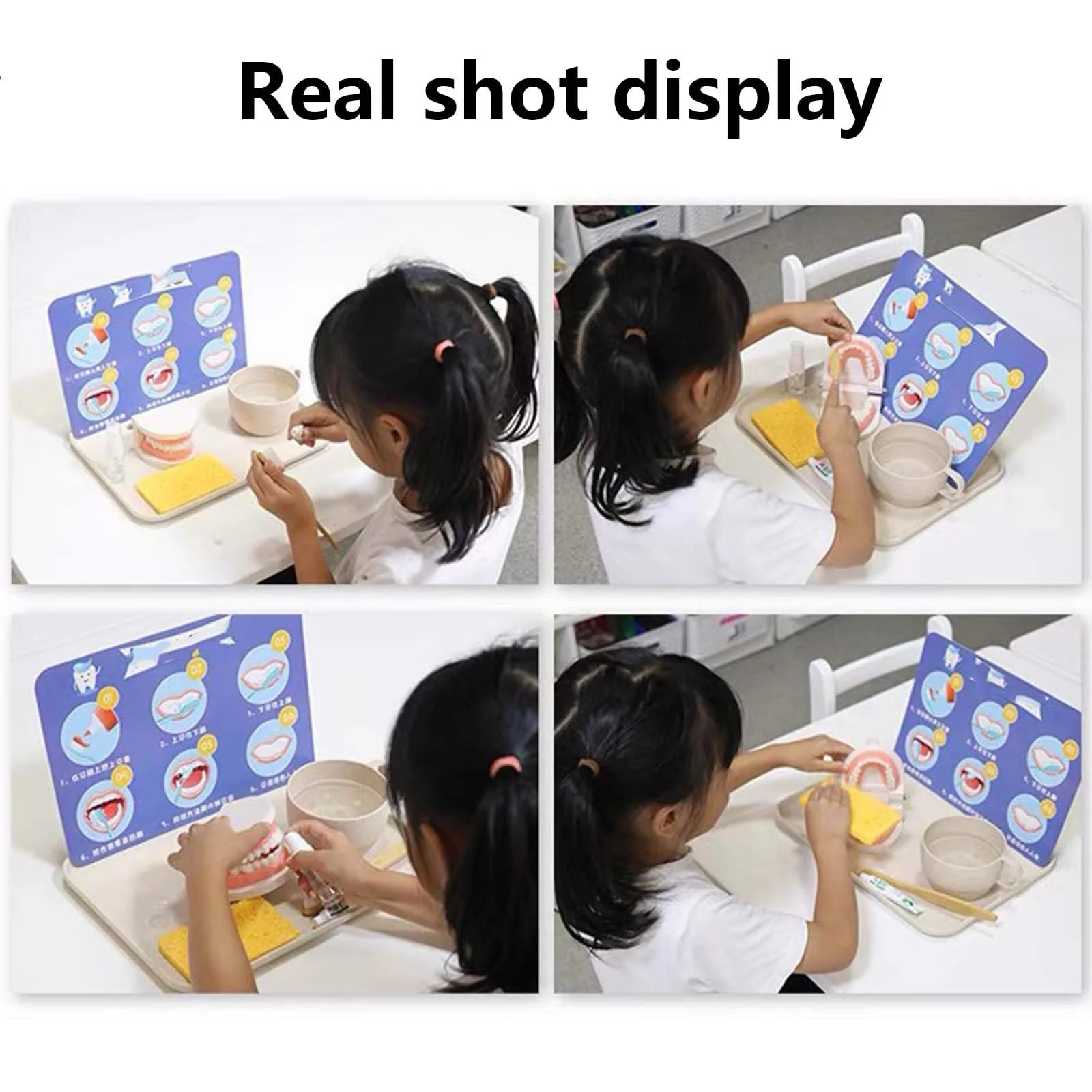 Pack of 2 Teeth Model with 2 Toothbrushes, Children's Tooth Model, Dental Model, PVC Dental Care Model for Dental Teaching or Oral Care, for Dental Clinics - Image 7