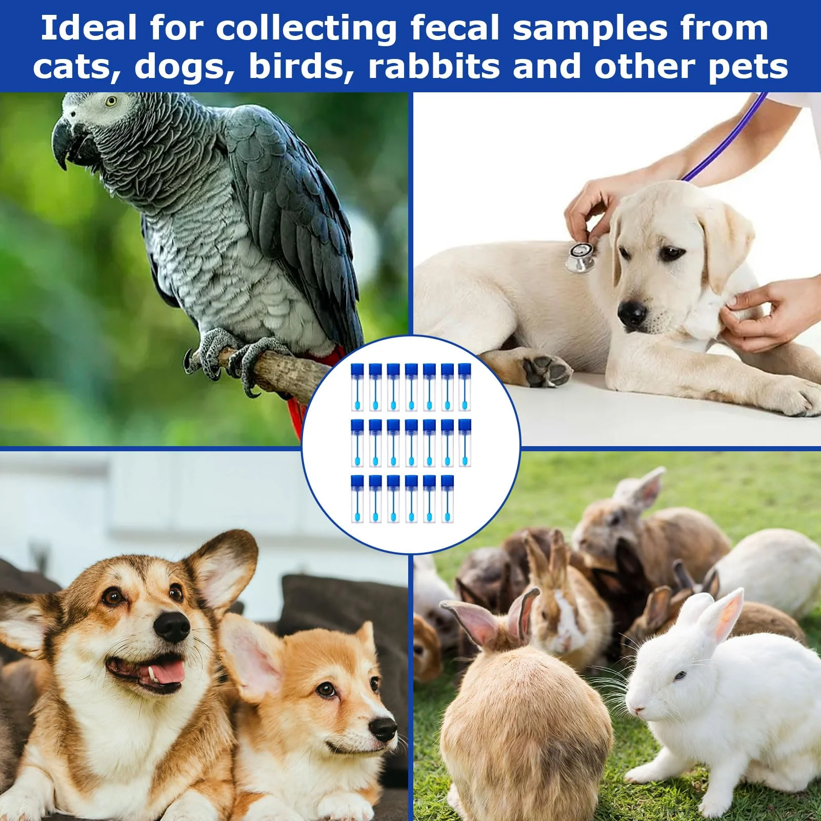 Pack of 20 Chair Sample Tubes, Faecal Sample Tubes, Dog, Chair Catcher for Chair Sample, Chair Sample with Spoon, 15 ml Faecal Sample Tube Dog and Cat, Examination Tube for Pets - Image 5