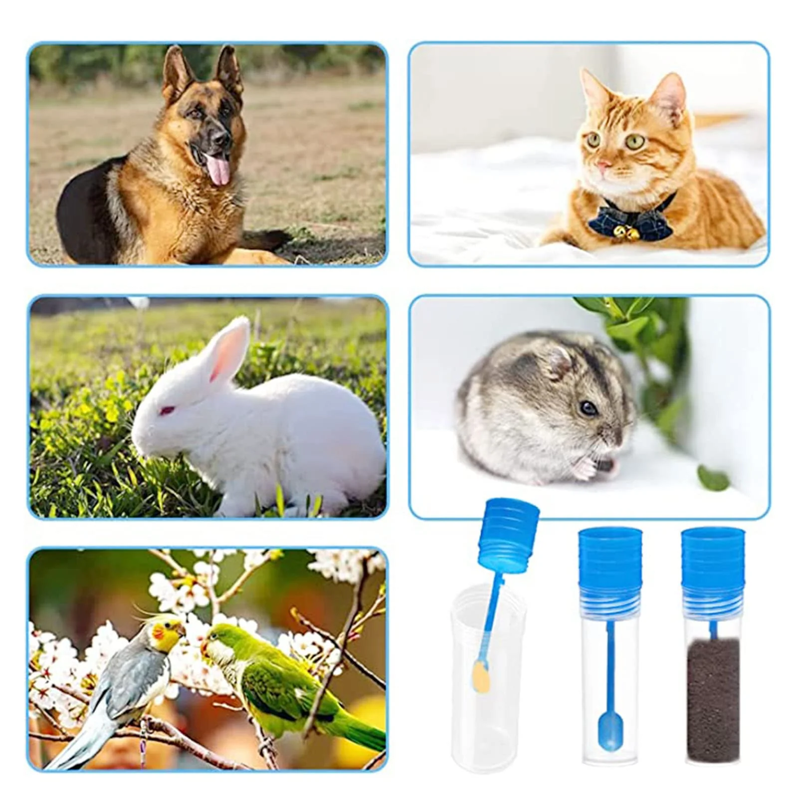 Pack of 5 Faecal Sample Tubes, Sample Tubes, Chair Sample Tubes, Dog and Cat, Chair Tube with Spoon - Image 5