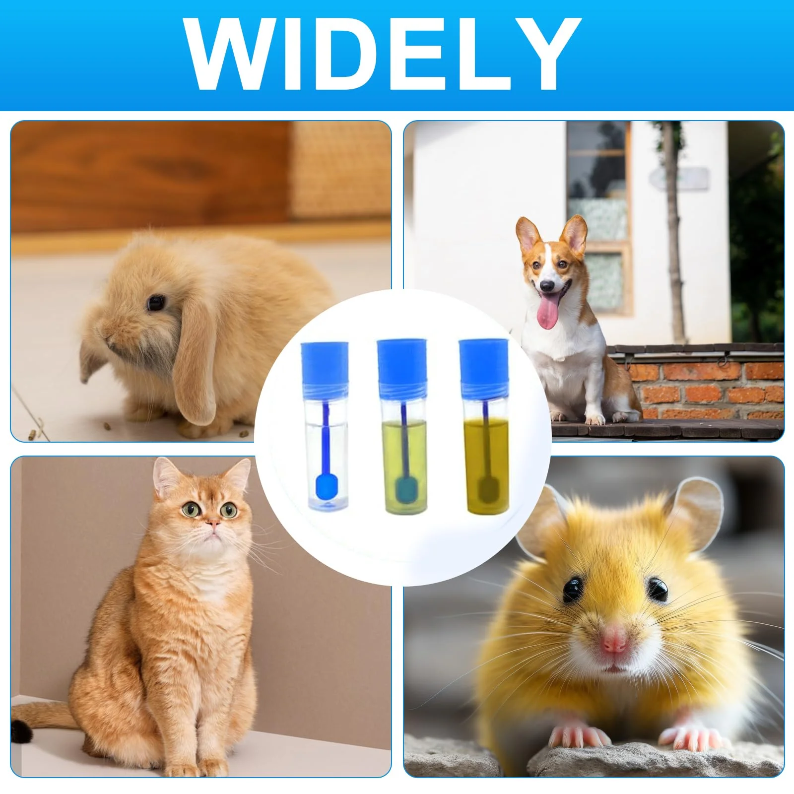 Pack of 50 Dog Faecal Sample Tubes 15 ml Chair Sample Tube with Spoon and Label Sticker Good Sealing Chair Sample Collection Aid for Pets for Testing - Image 7