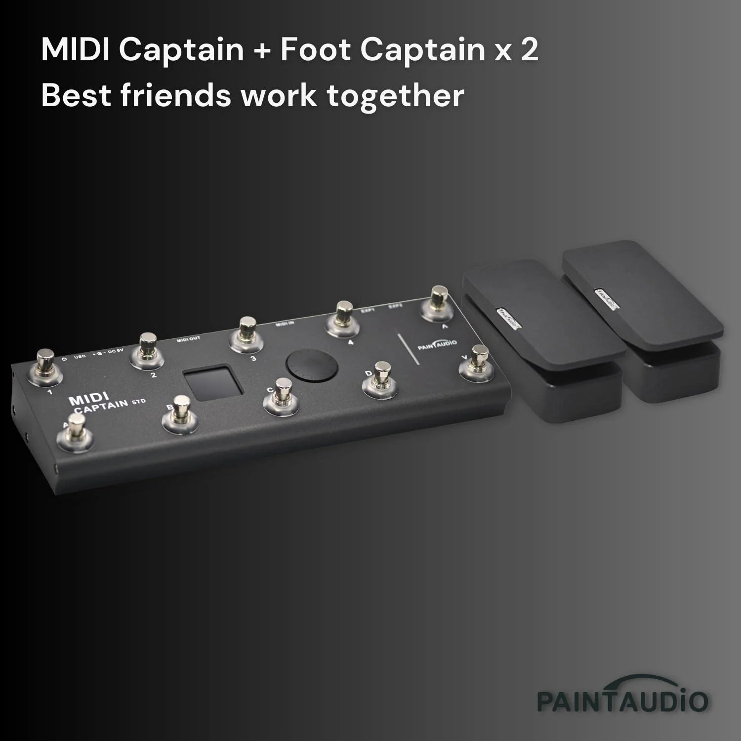 Paint Audio Foot Captain Dual Outputs Expression Pedal Multi-effects Compatible for Tip/Ring Connection (Foot Captain) - Image 5