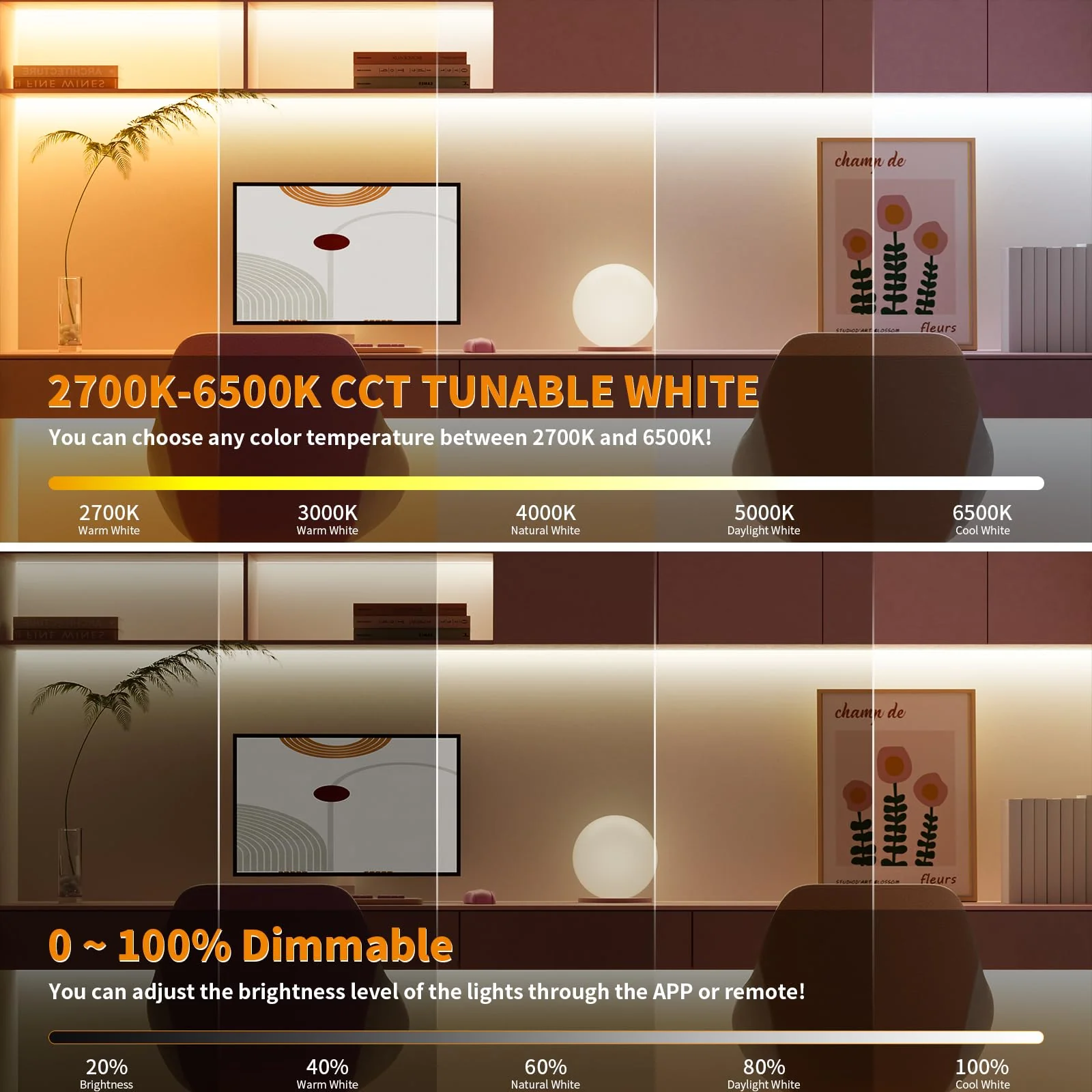 PAUTIX CCT COB LED Strip Light White Tunable 3200LEDs,CRI90+ 16.4ft/5m Dimmable 2700K-6500K 24V LED Tape Lights Kit,Work with Alexa/Google Assistant,for Under Cabinet Bedroom Kitchen DIY Lighting 2700K-6500K/16.4ft(Support Voice Activation) - Image 2
