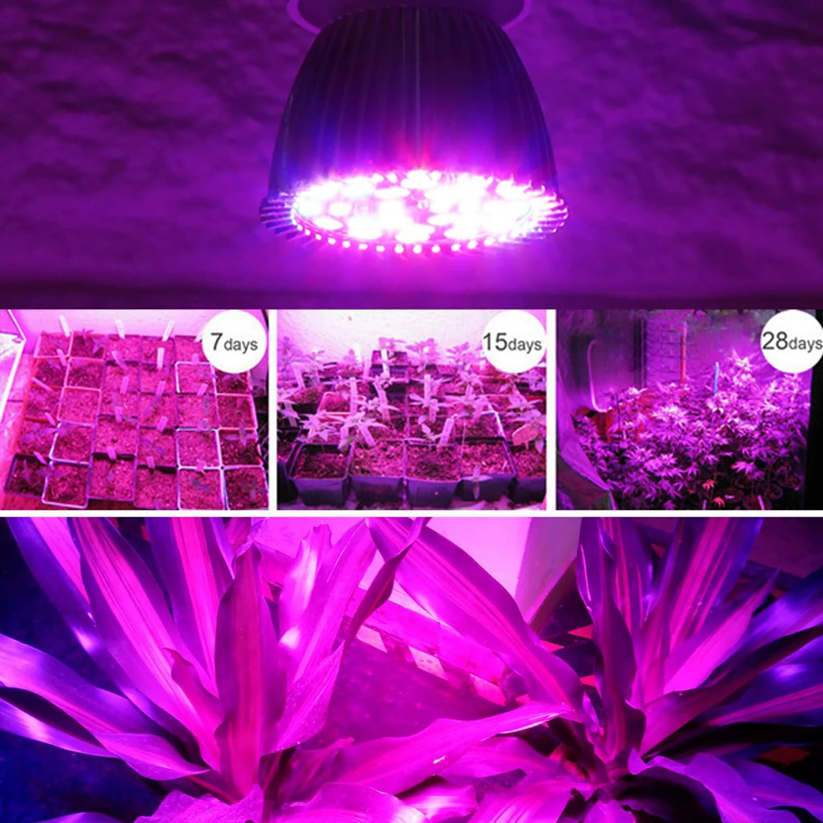 Pflanzenlampe,Pflanzenlampe Vollspektrum Pflanzenlampe E27 LED Wachstumslicht Wachstumslampe für DIY-Hydrokultur-Pflanzenblume - Image 5