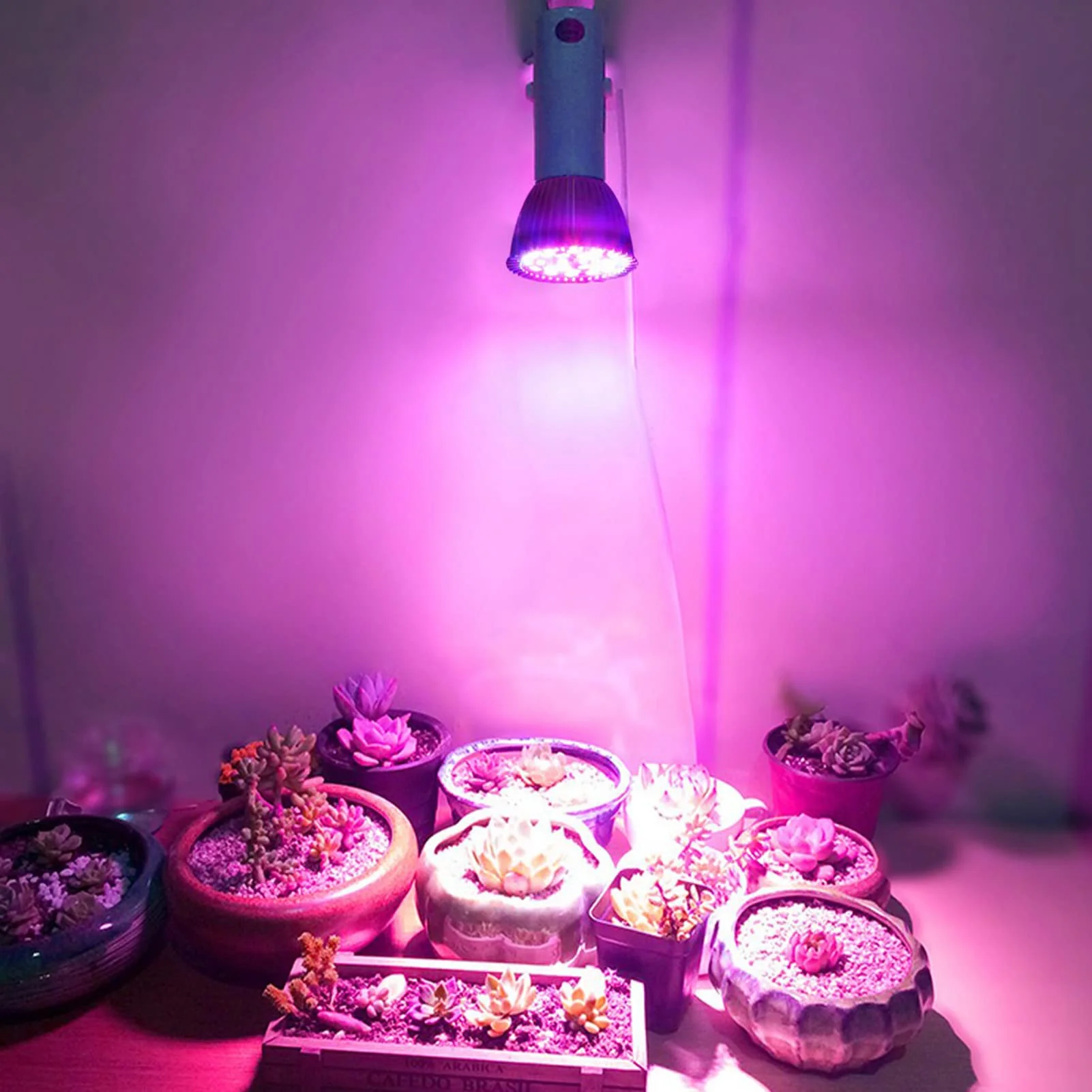 Pflanzenlampe,Pflanzenlampe Vollspektrum Pflanzenlampe E27 LED Wachstumslicht Wachstumslampe für DIY-Hydrokultur-Pflanzenblume - Image 6