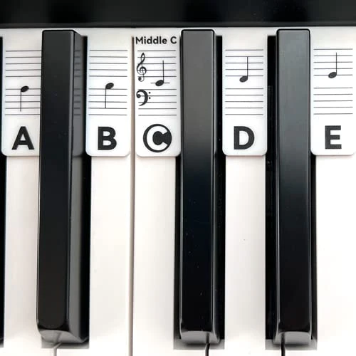 Piano Notes Guide for Beginner, Removable Piano Keyboard Note Labels for Learning, 88-Key Full Size, Made of Silicone, No Need Stickers, Reusable and Comes with Box (Classic Black） Classic Black - Image 7