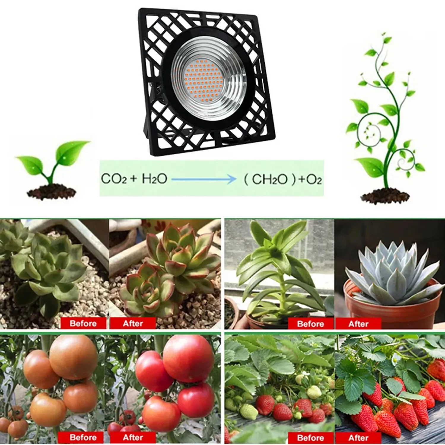 Plant Lamp LED Full Spectrum 72 LEDs 50 W Plant Light Hanging Grow Lamp IP66 100 LM/W - Image 4