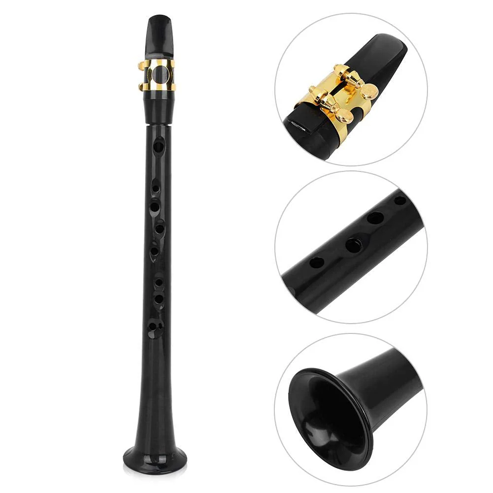 Pocket Saxophone, Portable Simple Mini Saxophone, Practice BB Tune Sax with Reed Bag Woodwind Instrument for Amateurs and Professional Performers - Image 3