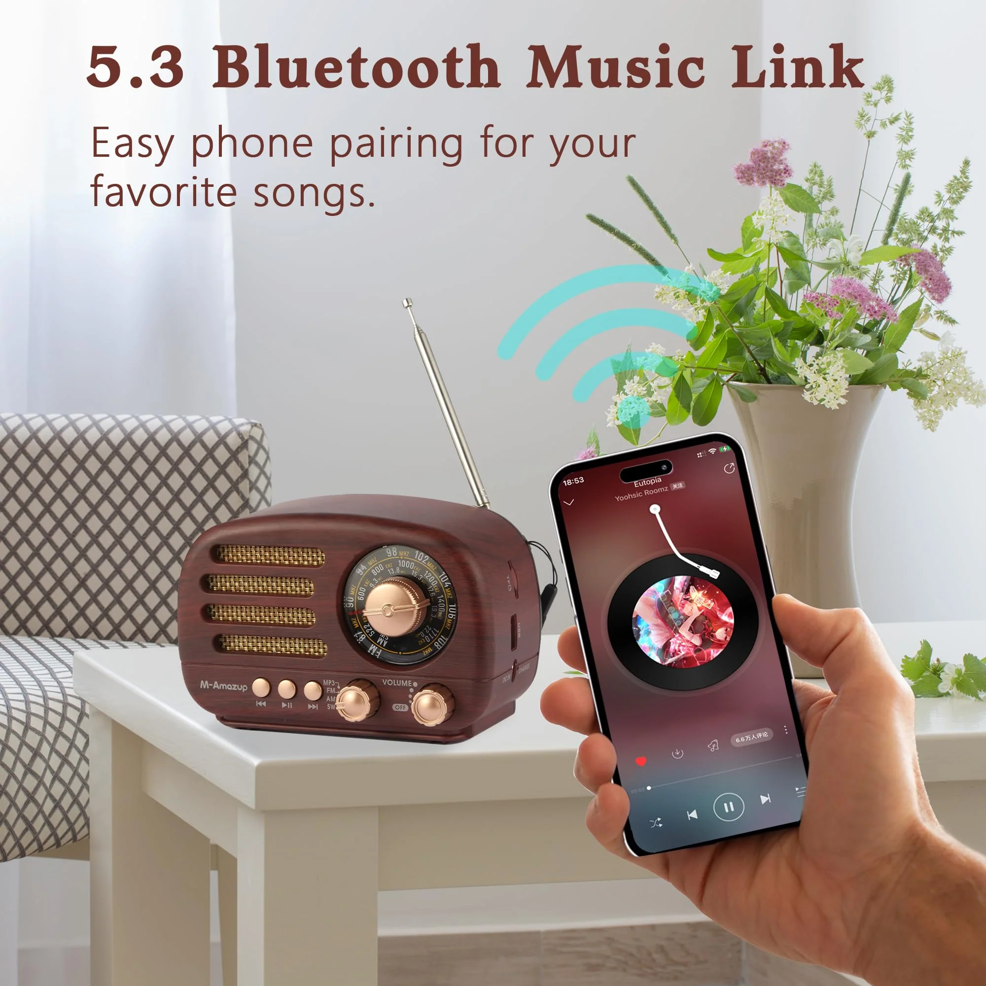 Radios Portable AM FM SW, Retro Radio with Speaker, Transistor Radio Bluetooth 5.3, Rechargeable Battery Powered, TWS, Support TF Card/MP3/USB Playing, Gifts for Senior, Dark Wood - Image 5