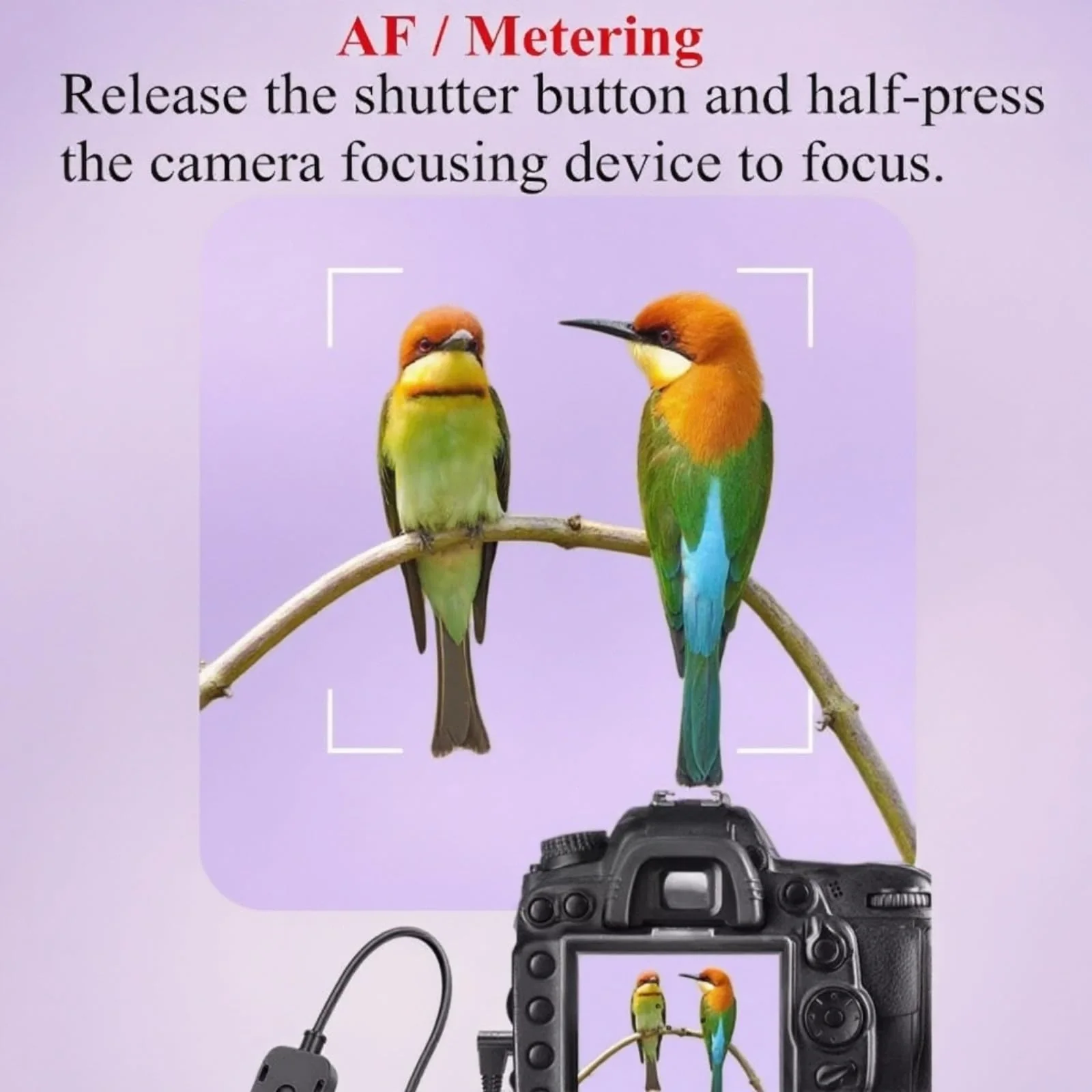 RC-301 Camera Release Cable for Nkon Remote Shutter Control Compatible with DF, Z5, Z6, Z7, D750, D7200, D7100, D7000, D7500, D5000 D600, D610, D5100, D5200, D5300, and D5600 Models - Image 9