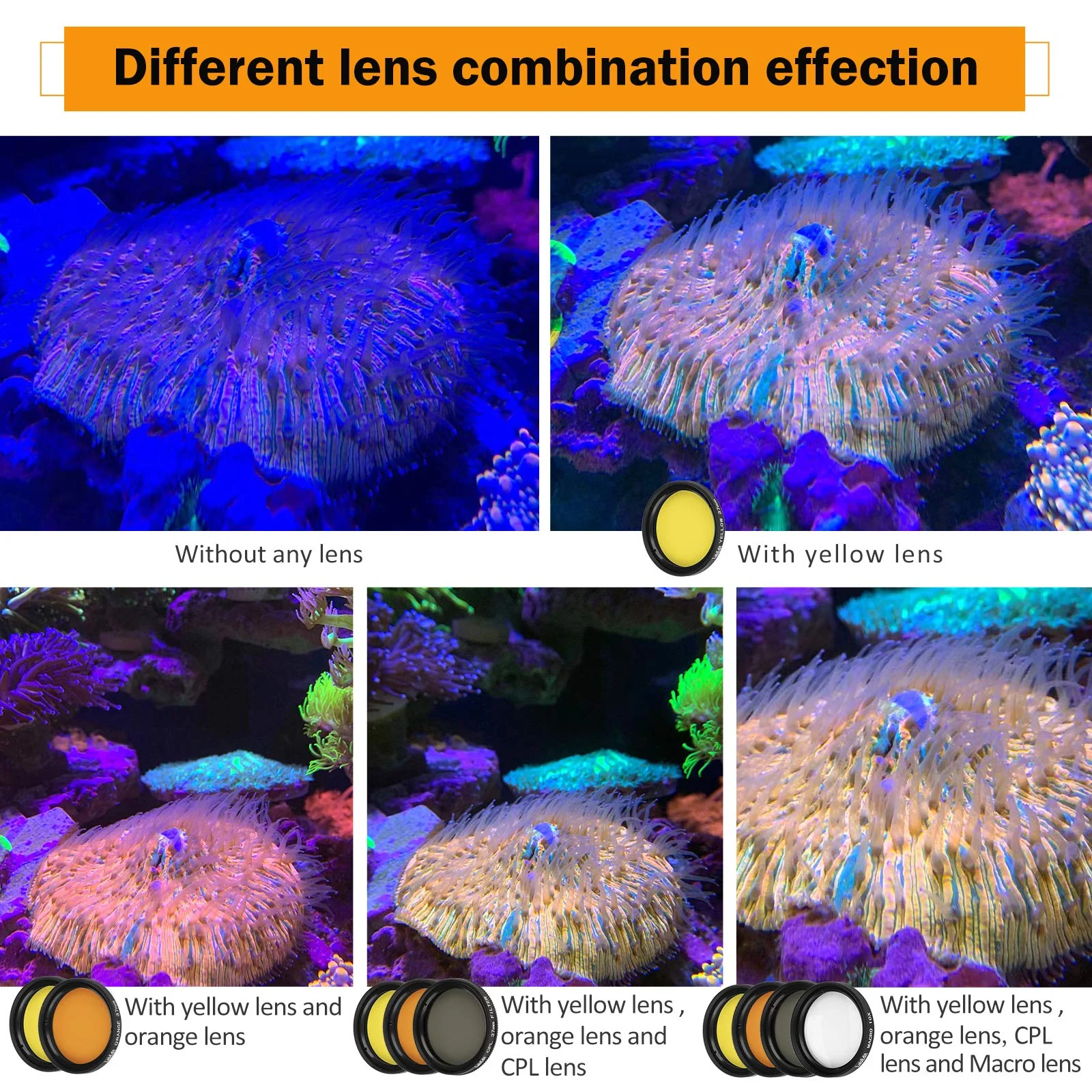 Reef Coral Lens Phone Kits 5 Lenses Kit 1 Dust Shield Case 2 Lens Clips - Image 3