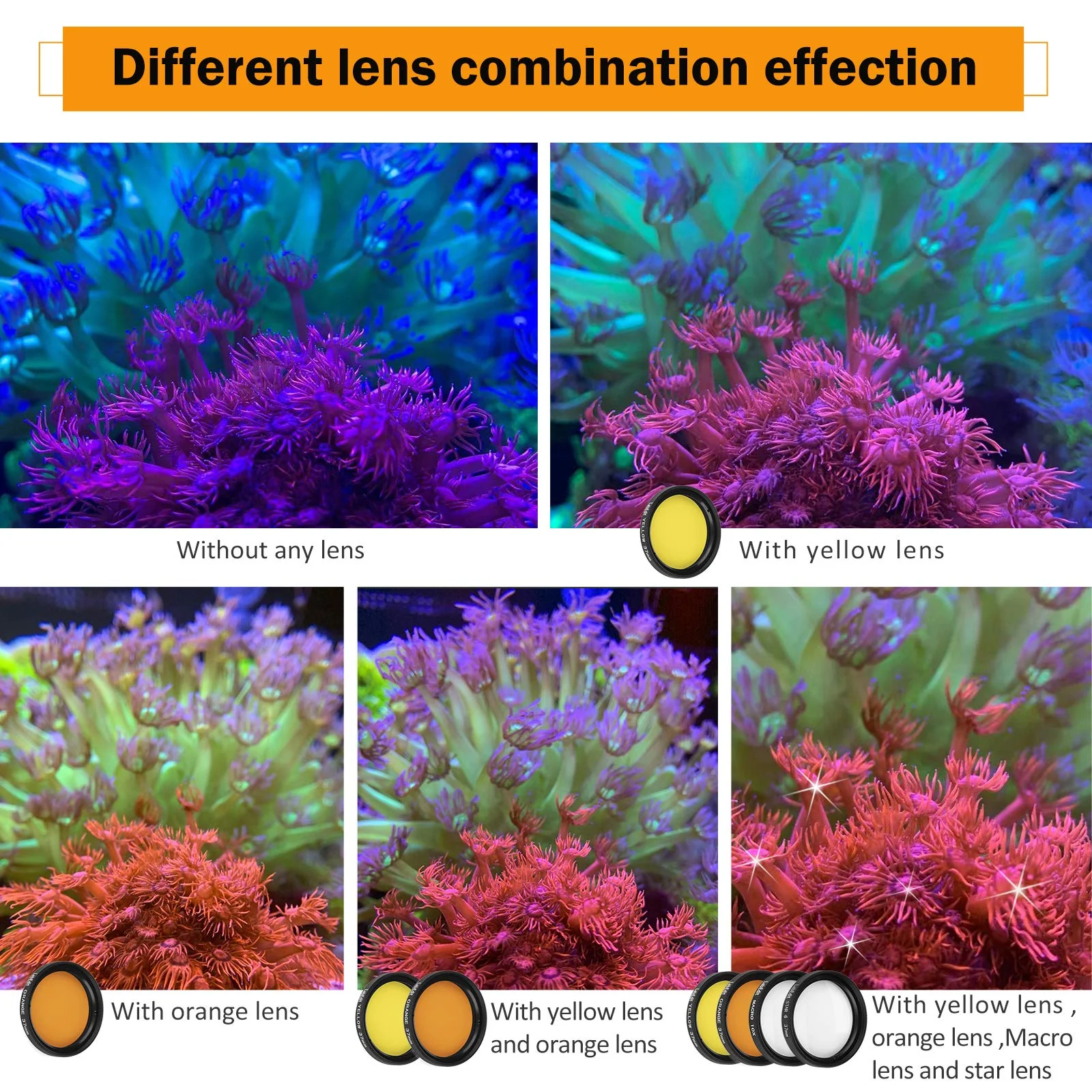 Reef Coral Lens Phone Kits 5 Lenses Kit 1 Dust Shield Case 2 Lens Clips - Image 4