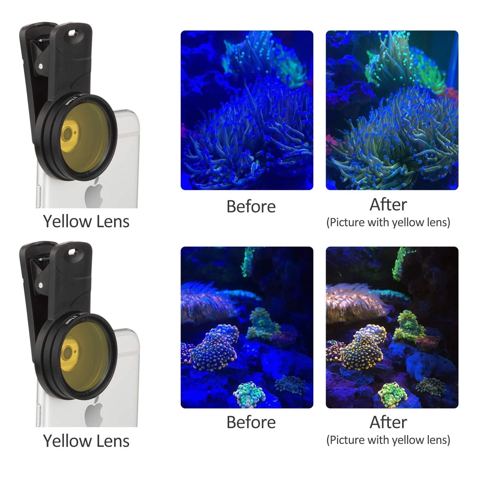 Reef Coral Lens Phone Kits 5 Lenses Kit 1 Dust Shield Case 2 Lens Clips - Image 5