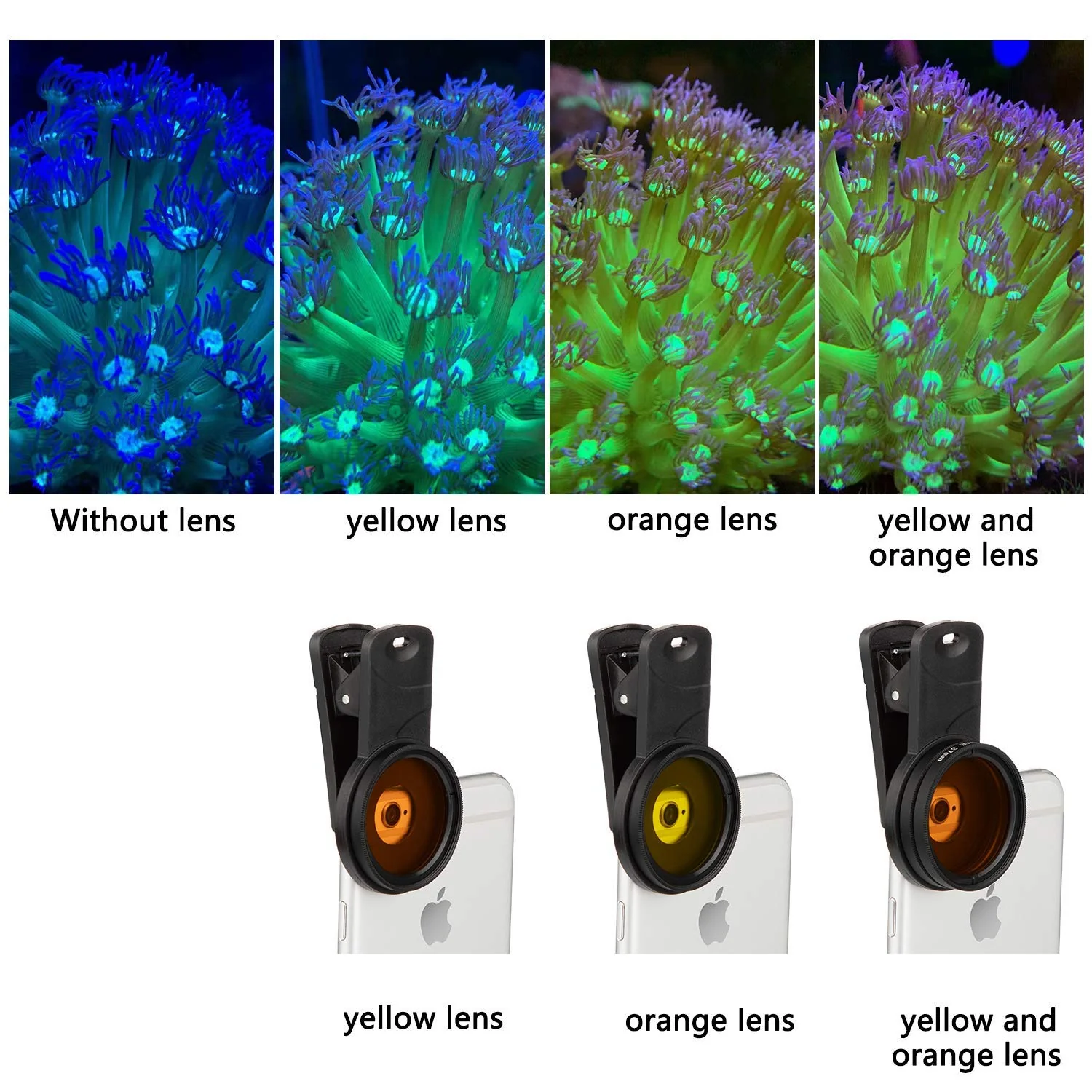 Reef Coral Lens Phone Kits for Phone 7 Lenses Kit 1 Dust Shield Case 2 Lens Clips - Image 3