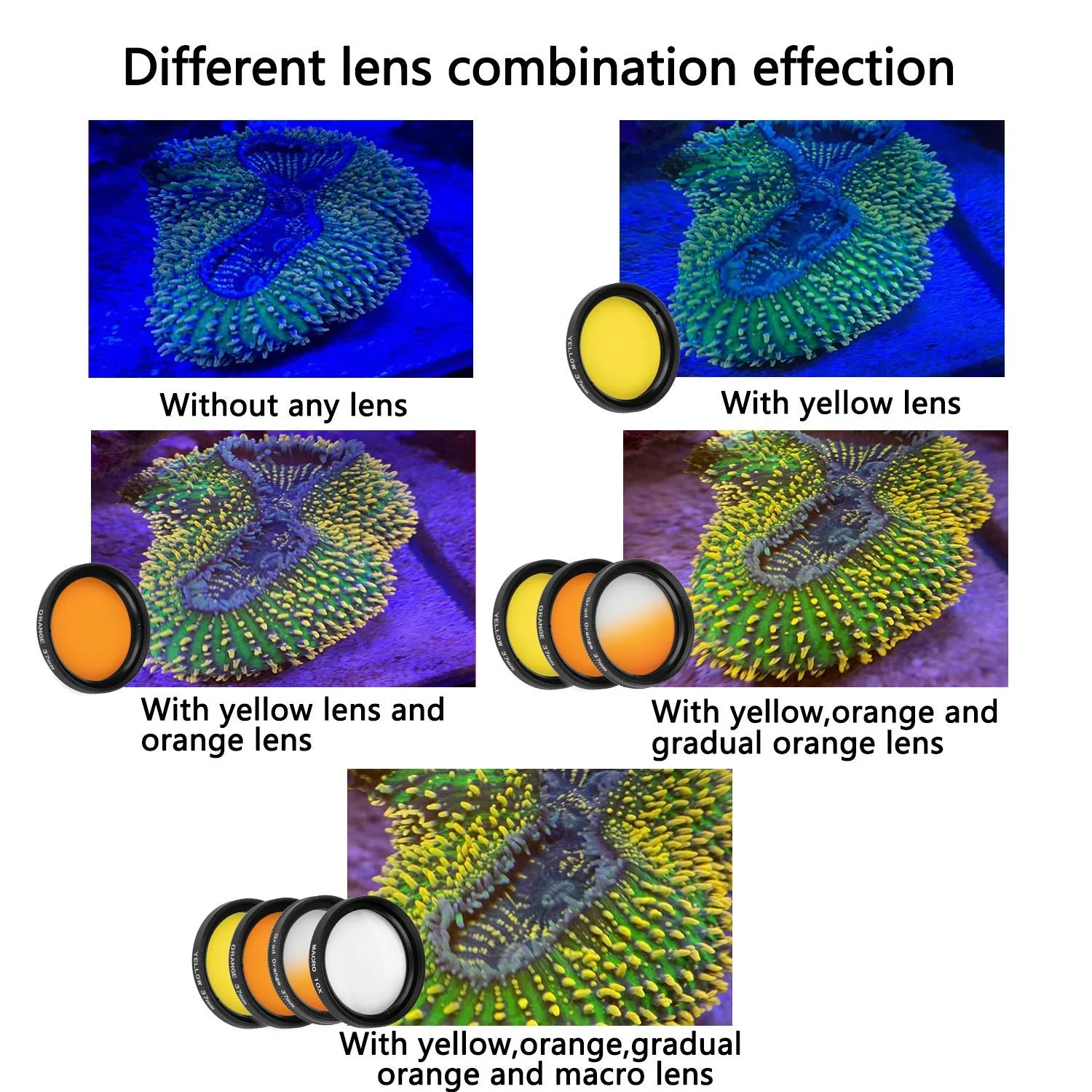 Reef Coral Lens Phone Kits for Phone 7 Lenses Kit 1 Dust Shield Case 2 Lens Clips - Image 4