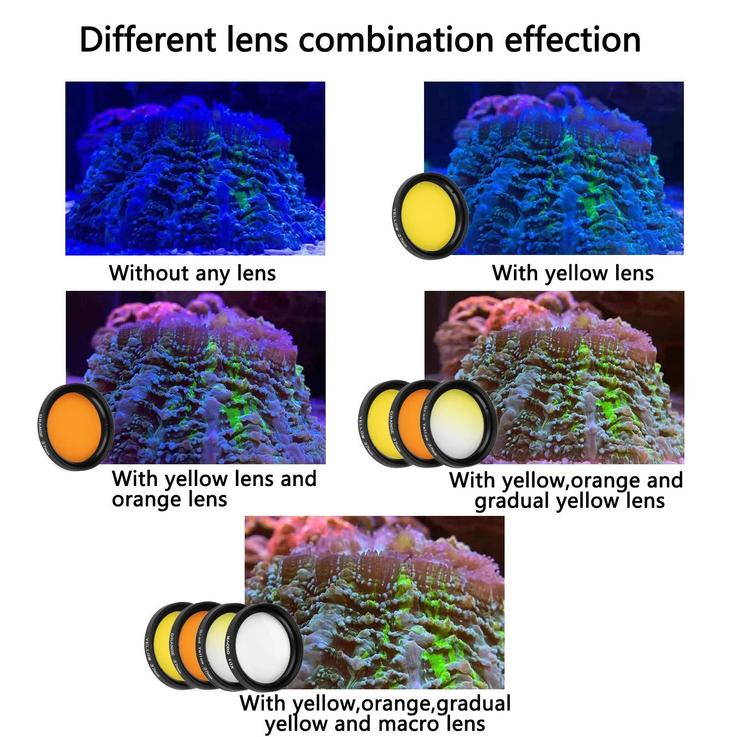 Reef Coral Lens Phone Kits for Phone 7 Lenses Kit 1 Dust Shield Case 2 Lens Clips - Image 5