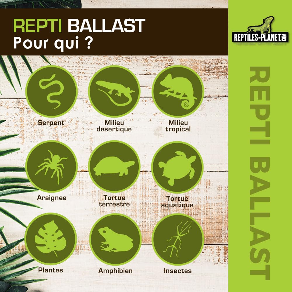 Reptile Planet - Repti Ballast for Fluorescent Tube T8 from 15 to 40 W - Image 3