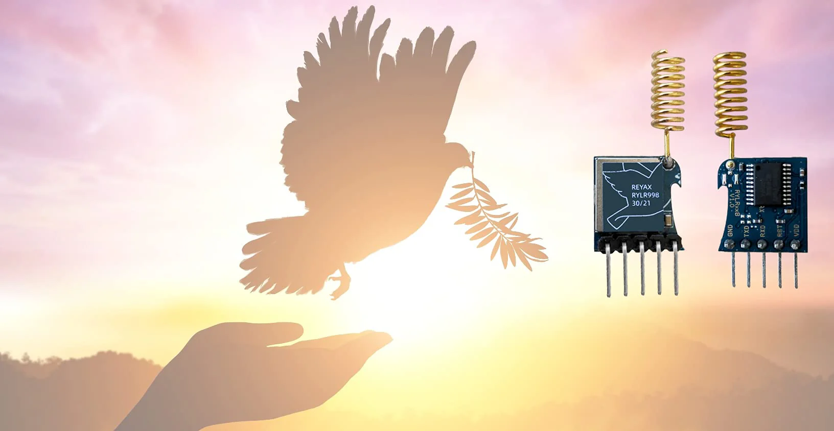 RYLR998 UART Interface 868/915 MHz Lora Module with Antenna FCC CE NCC Certification - Image 2