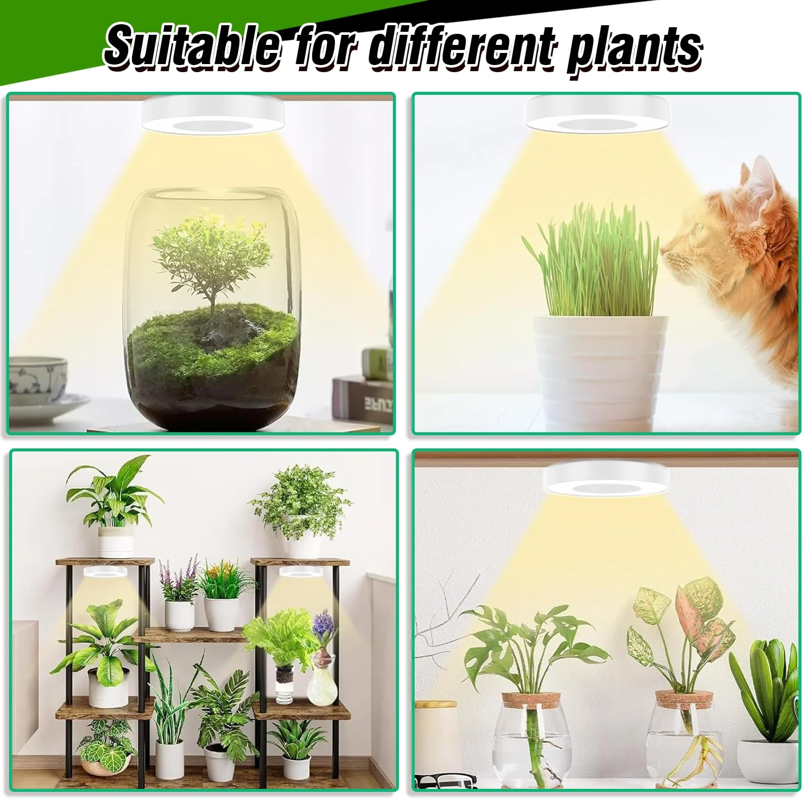 SciFiVisi Pack of 3 Plant Lamps, LED Full Spectrum, Plant Light with Auto Timer, 3 Colours, 10 Brightnesses, LED Plant Lamp for Indoor Plants (White, 3 Heads) White 3 Heads - Image 7