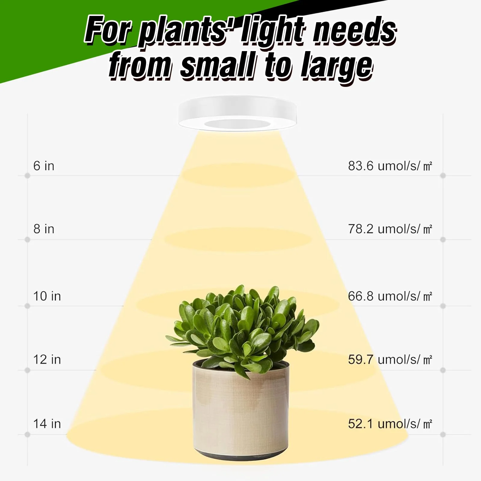 SciFiVisi Pack of 3 Plant Lamps, LED Full Spectrum, Plant Light with Auto Timer, 3 Colours, 10 Brightnesses, LED Plant Lamp for Indoor Plants (White, 3 Heads) White 3 Heads - Image 8