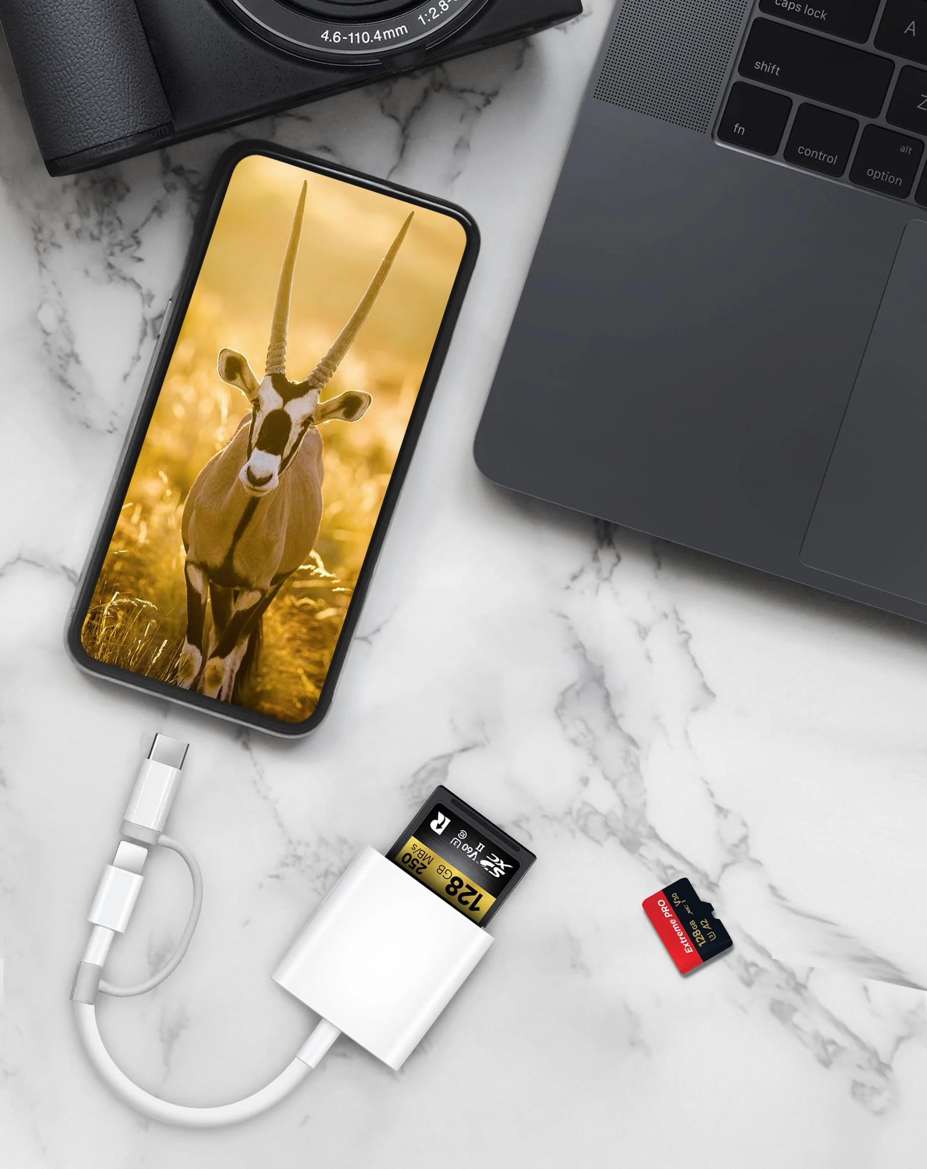 SD Card Reader for iPhone iPad, Dual Lightning & USB-C Connector Memory SD Card Adapter, Support SD/MicroSD Cards, High-Speed Trail Camera Viewer, Plug and Play 2 Slots to Lightning&USB-C White - Image 2