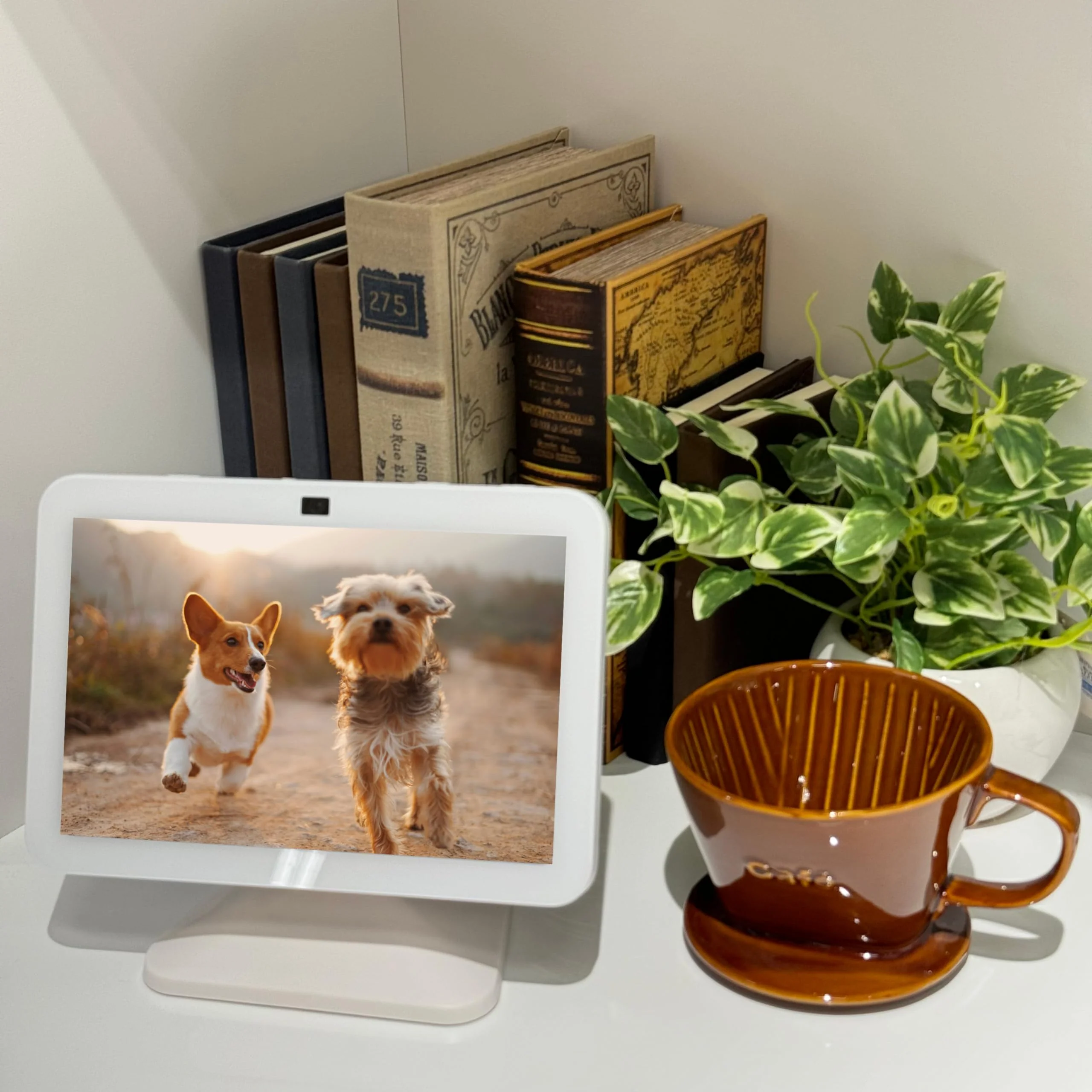 Sintron Adjustable Magnetic Stand Mount for Shᴏw 8 3rd gen, Smart Display Stand Holder with 360 Degree Rotation, Swivel & Tilt Function, Anti-Slip Base - White Compatible with iPhone 12 & newer models For Show 8 - Image 9