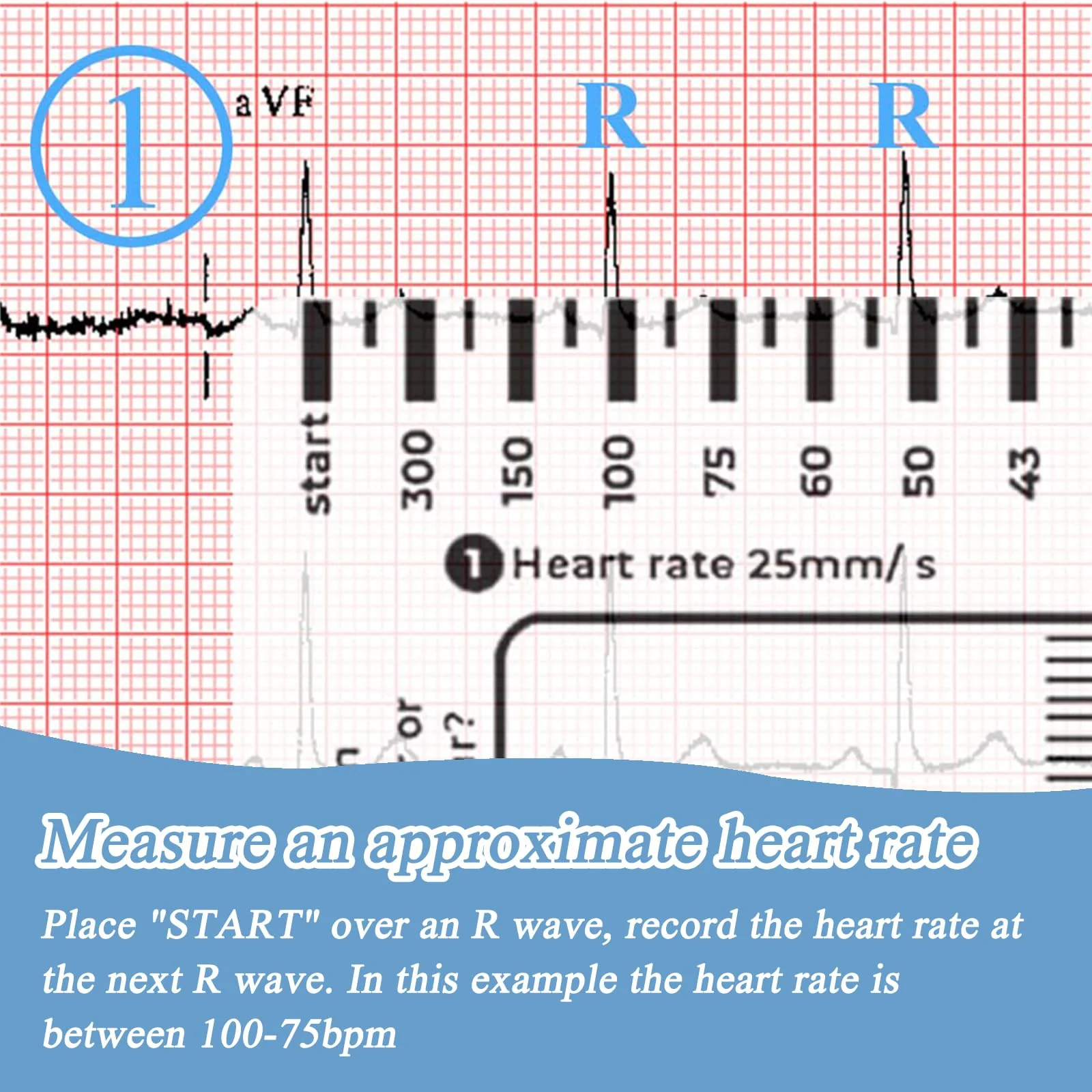 SNONESIY ECG 7 Step Ruler, Transparent ECG Calipers Meter, Plastic, 9 x 6.5 cm - Image 2