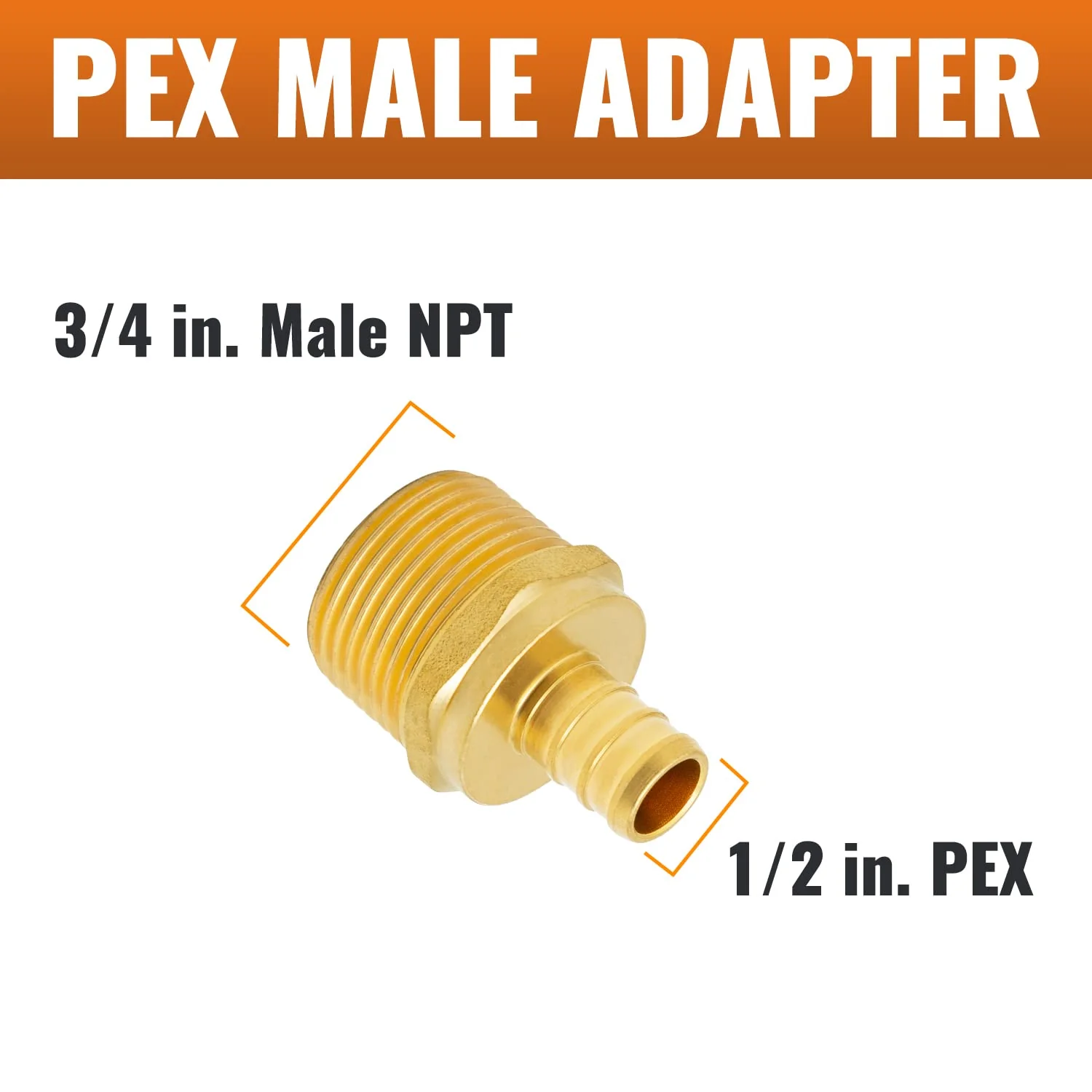 SUNGATOR 6-Pack PEX 1/2" x 3/4" NPT Male Threaded Adapter Crimp Fitting, No Lead Brass 1/2" x 3/4", 6 Pack - Image 2