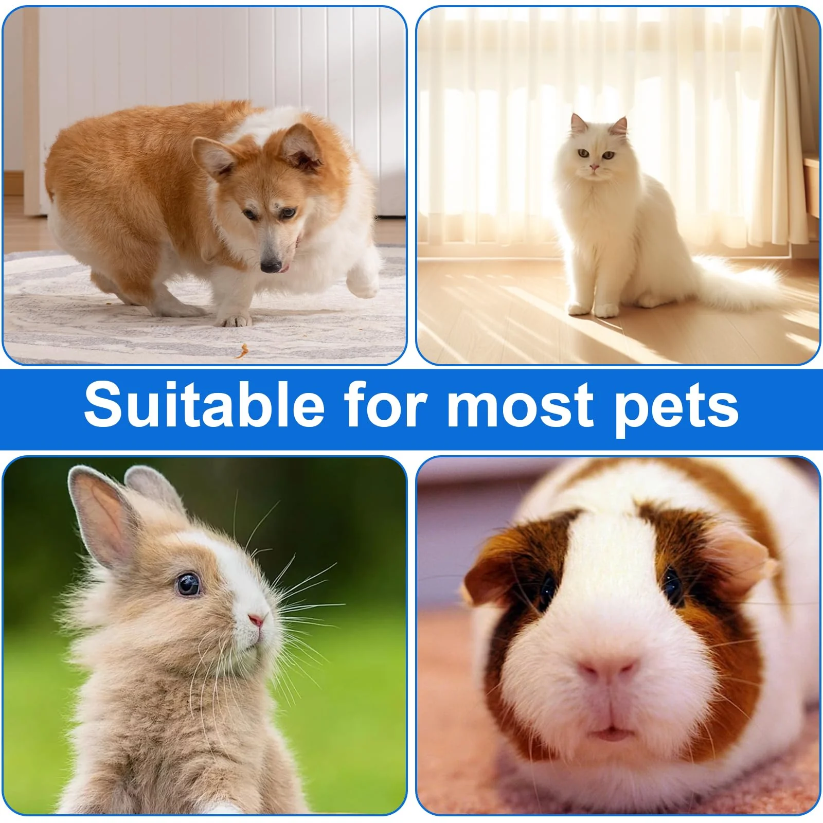 SZSMW 50 Chair Sample Tubes – Sample Tube – Dog Faecal Sample Tube – Suitable for Collecting Various Solids, Liquids or Powders, for Testing Pet Samples, with Stickers - Image 5