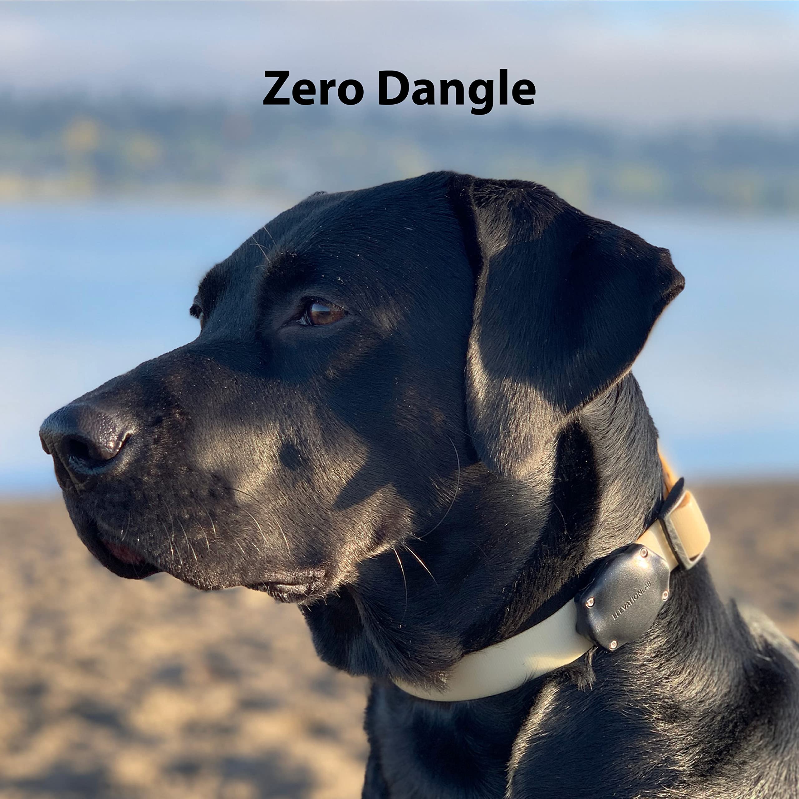 TagVault™ AirTag Dog Collar Mount (2 Pack) - IP69 Waterproof, Doesn't Dangle, Fits All Width Collars | Elevation Lab 2 Pack - Image 3
