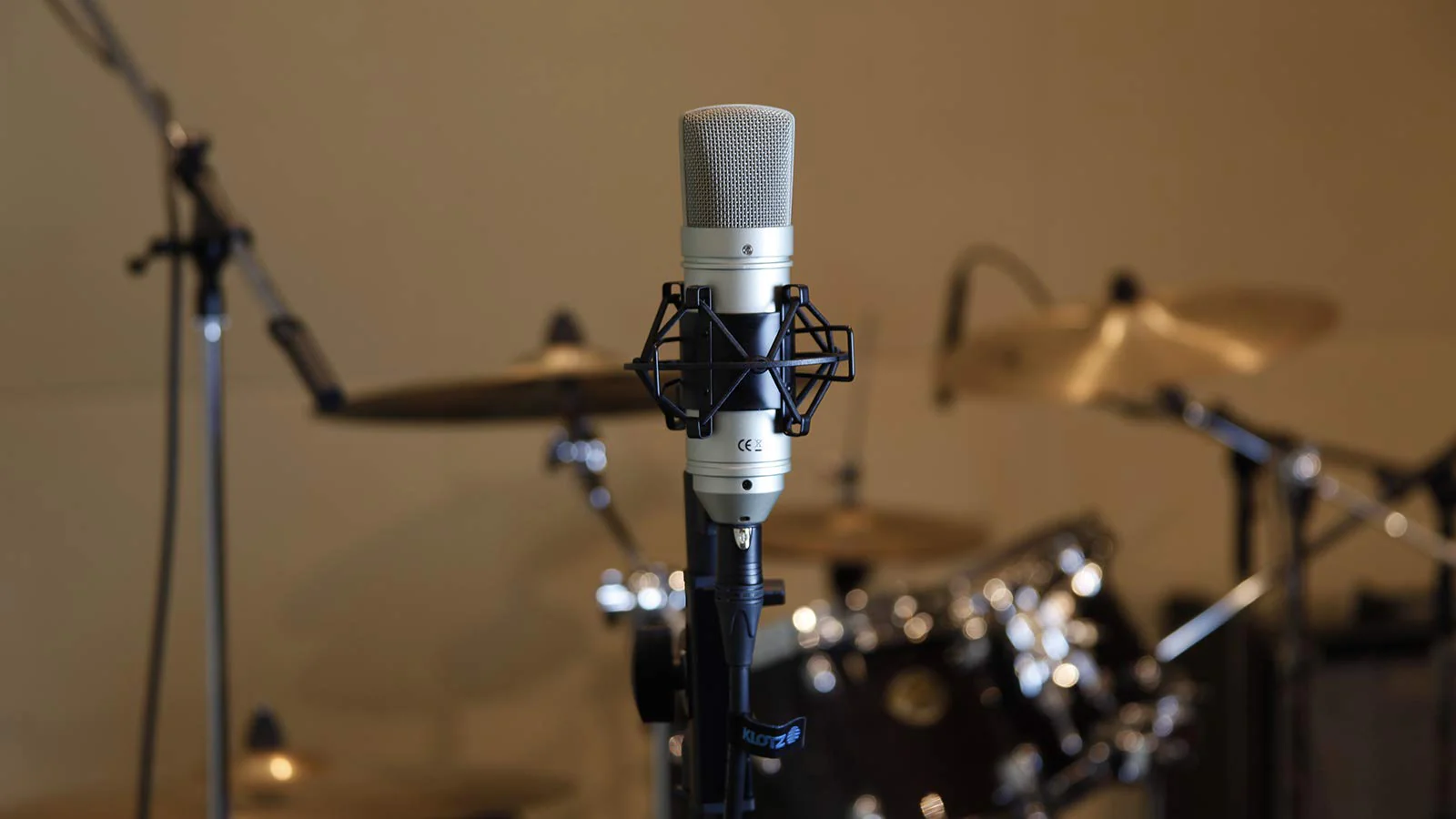 Tascam TM-80 Large Diaphagm Condenser Microphone,Silver - Image 2