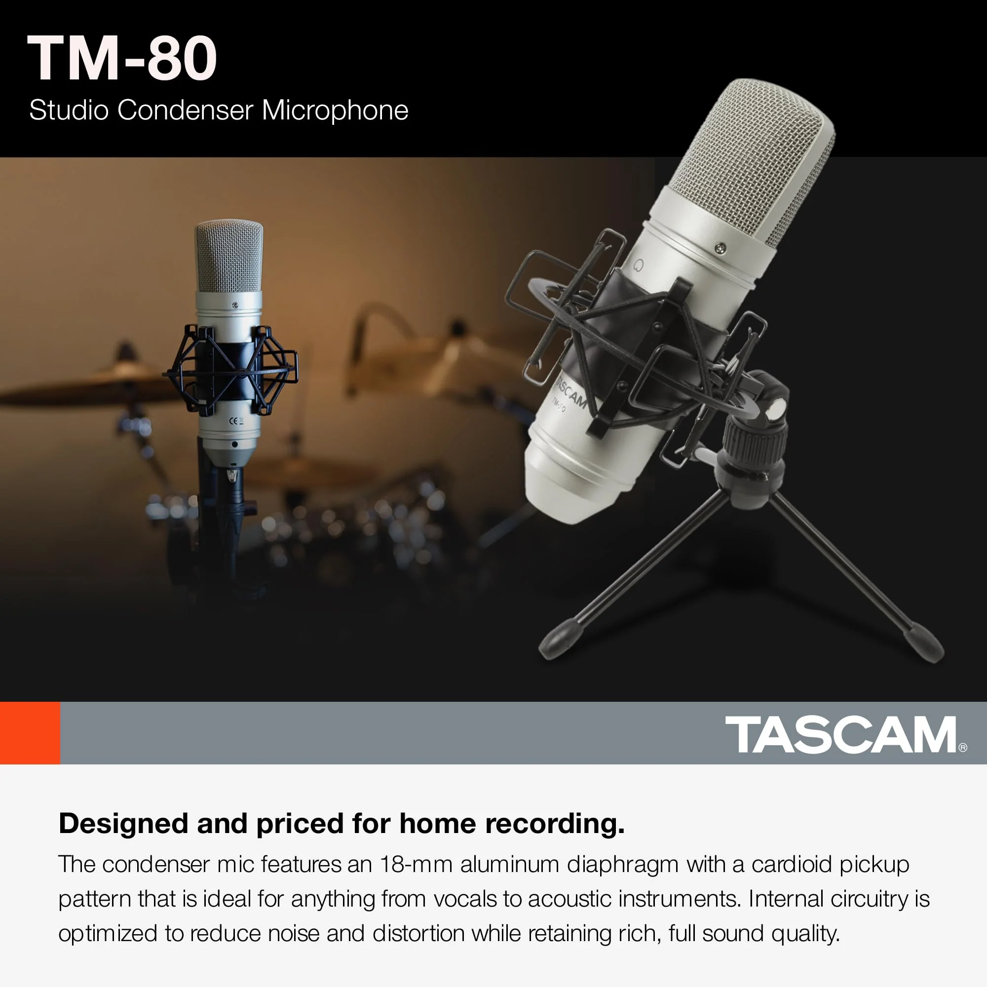 Tascam TM-80 Large Diaphagm Condenser Microphone,Silver - Image 3
