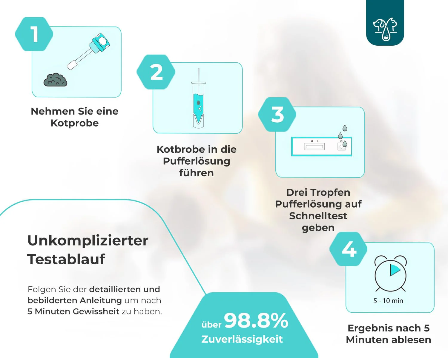 The Home Pet Lab 2 x Parvo Quick Test Dog & Cat - Parvovirus Test Reliable for Cat Disease Suspected (CPV, FPV) - For Dogs & Cats for Parvovirosis (2 x Test) - Image 4