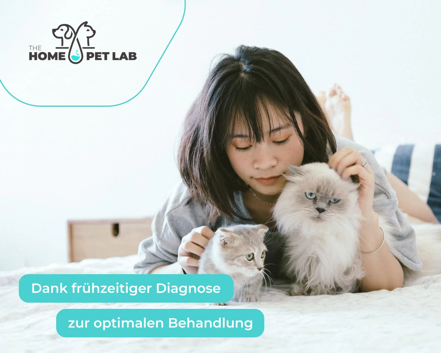 The Home Pet Lab 2 x Parvo Quick Test Dog & Cat - Parvovirus Test Reliable for Cat Disease Suspected (CPV, FPV) - For Dogs & Cats for Parvovirosis (2 x Test) - Image 6