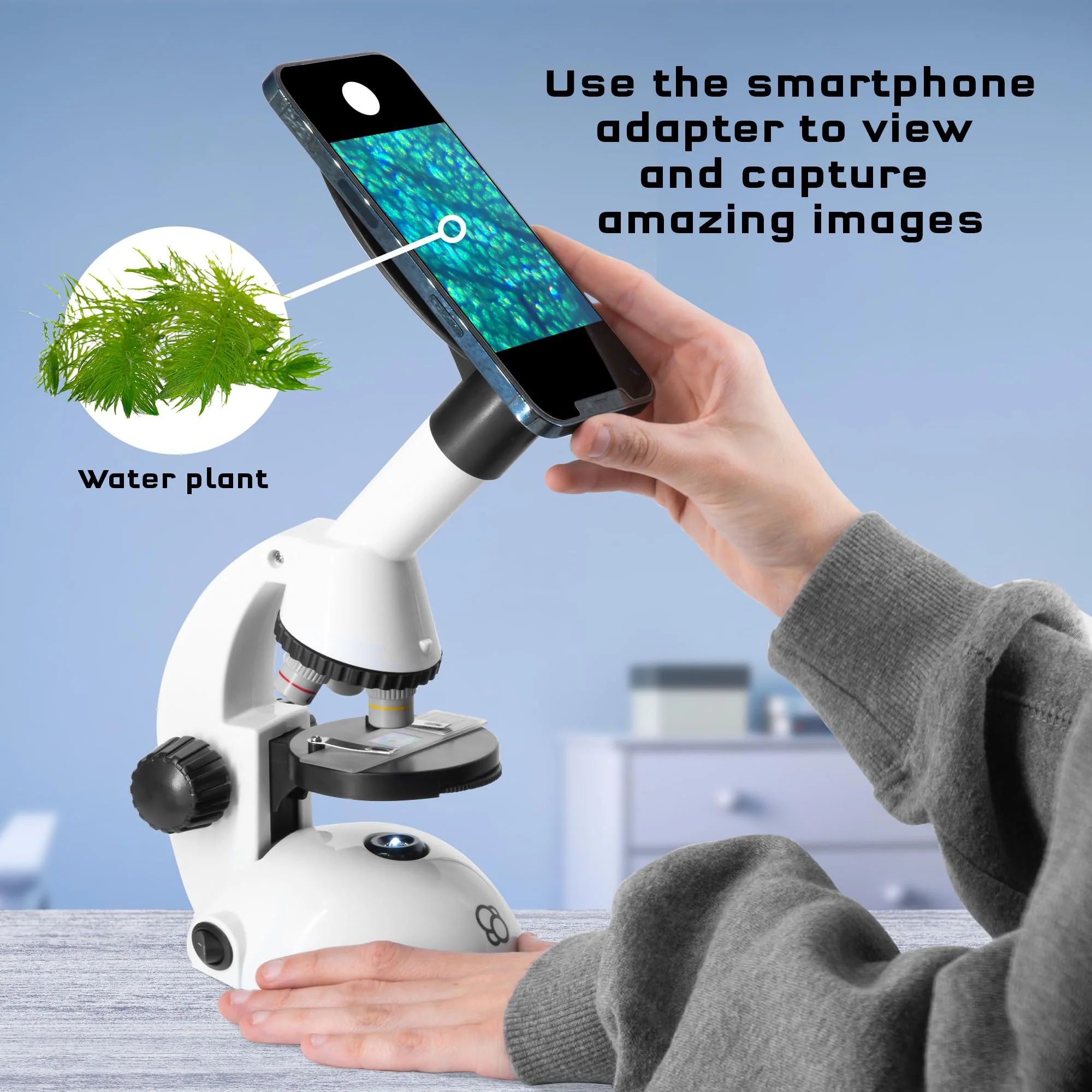 The Thames & Kosmos Microscope Essential STEM Tool with Smartphone Adapter to Capture & View Microscopic Images, Entry-Level Student Science Device, 60x to 600x Magnification & 45 Accessories - Image 5