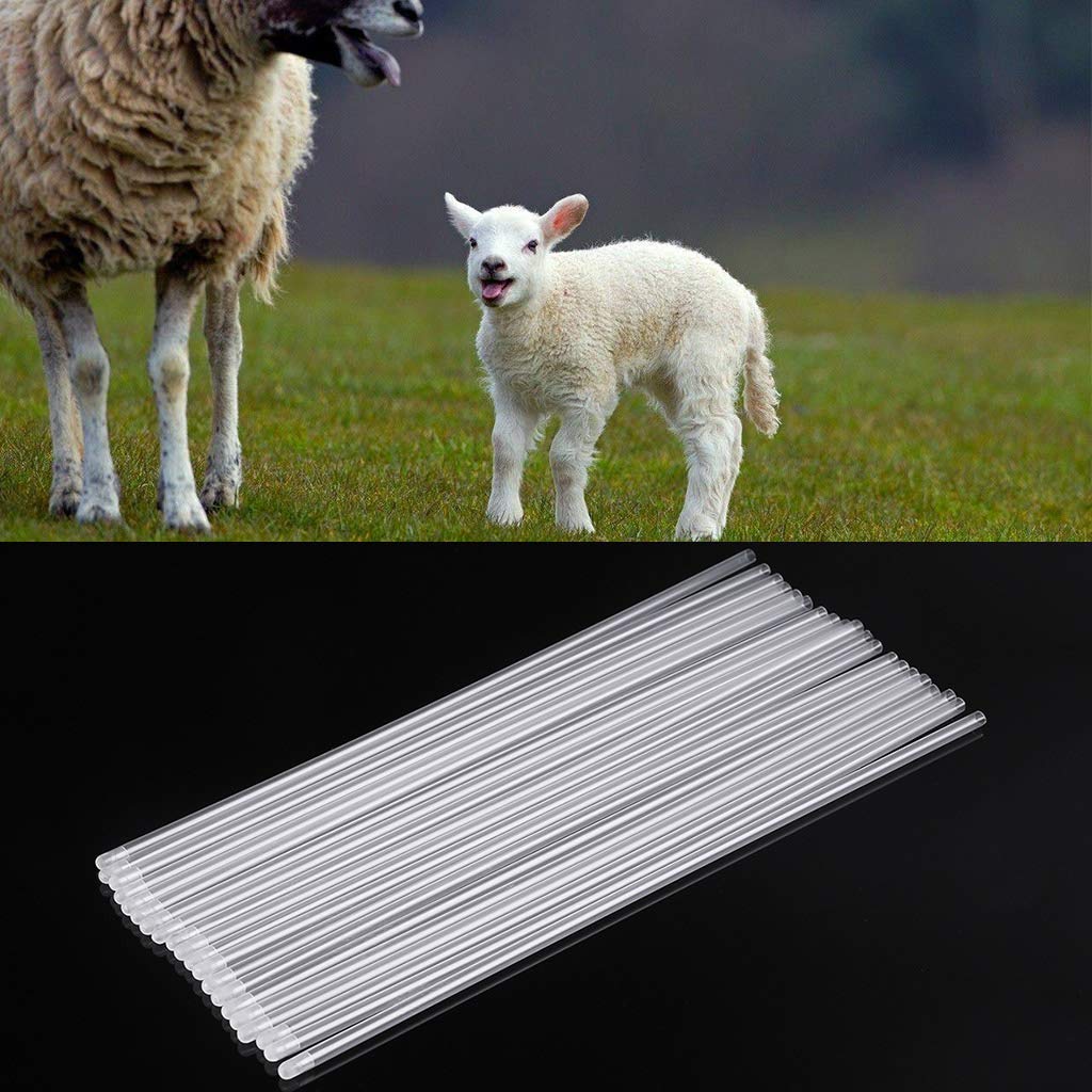 Xuniu 20 Pieces Breed Catheter, Artificial Insemination Breed Whelp Catheter Bar for Dogs, Goat Sheep - Image 2