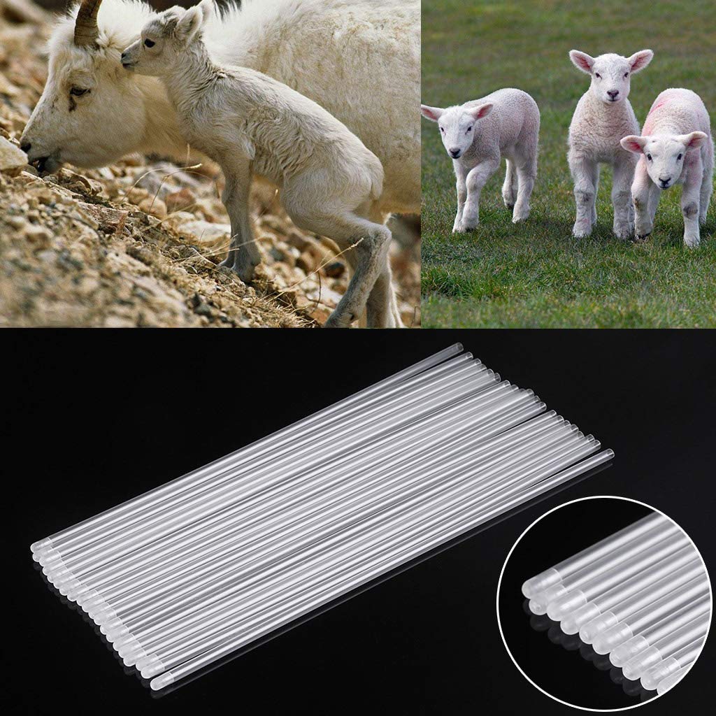 Xuniu 20 Pieces Breed Catheter, Artificial Insemination Breed Whelp Catheter Bar for Dogs, Goat Sheep - Image 3