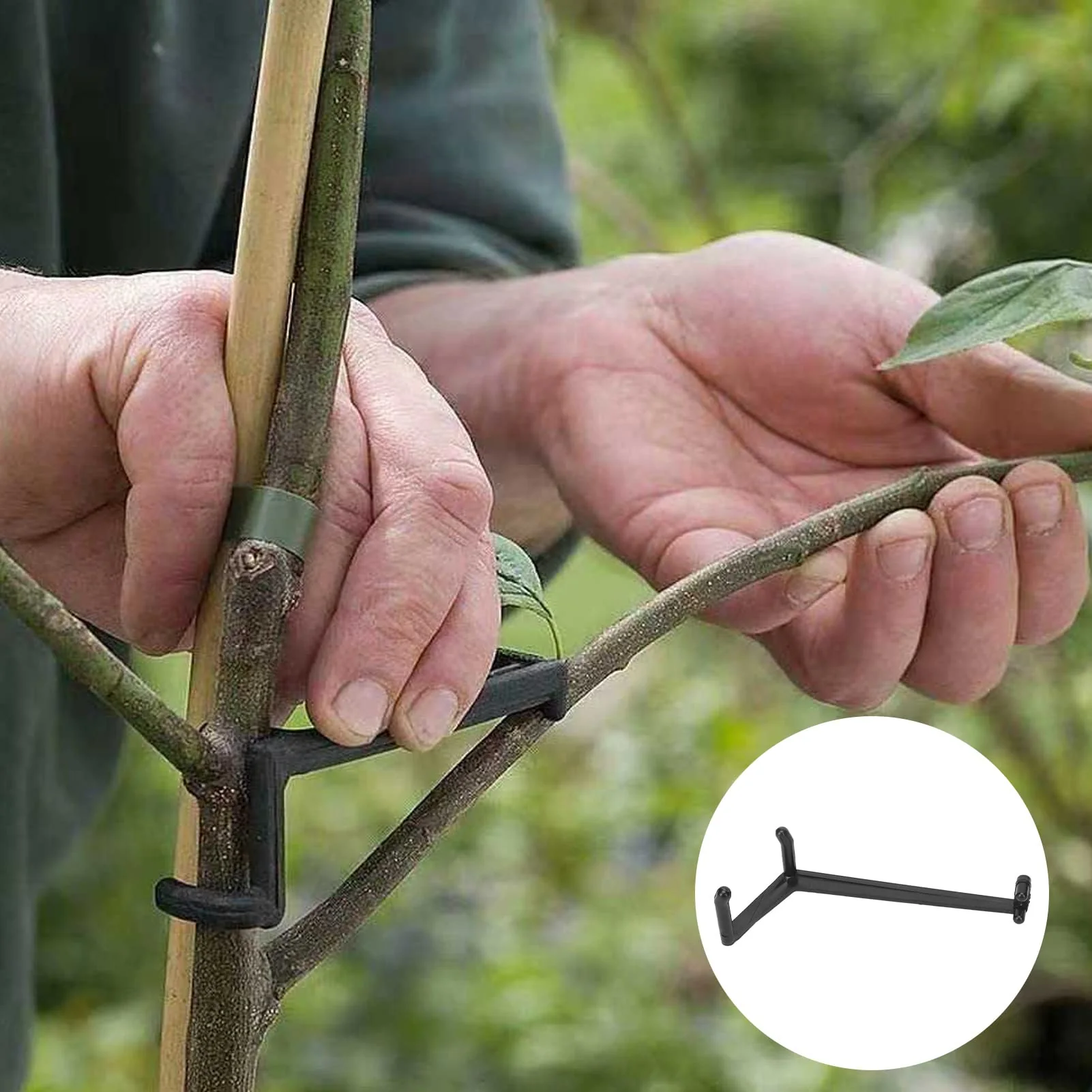 Yosoo Health Gear 20pcs Fruit Tree Spreader Plastic Bonsai Branch Trunk Spreader Modeling Tool Limb Spreader Black for Strong Spreading of Step Angles Branches - Image 5