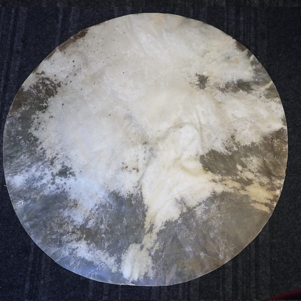 Zaza Percussion - Goatskin for Darbuka Doumbek Drum, Goat Skin for Djembe Natural Flat Round Goat Skin Head-36'' 36'' - Image 2