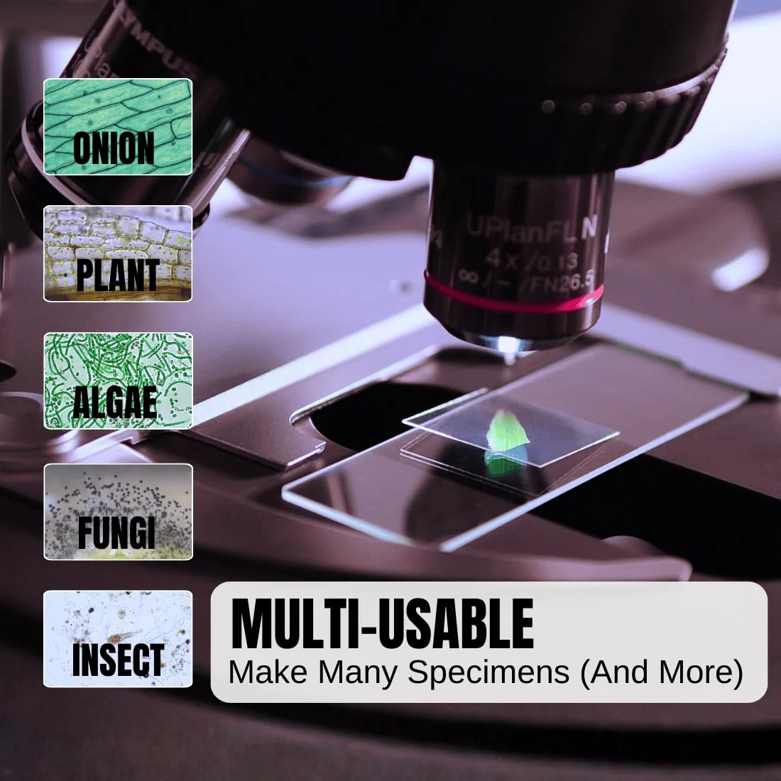 ZEEGOO Microscope Slides and Covers, Pre-Cleaned Optical Glass, High Light Transmittance, 100 Slides + 200 Coverslips, Ground Edges & 45° Corners, Fits Most Microscopes, Classroom, Lab & Home Use 300 - Image 5