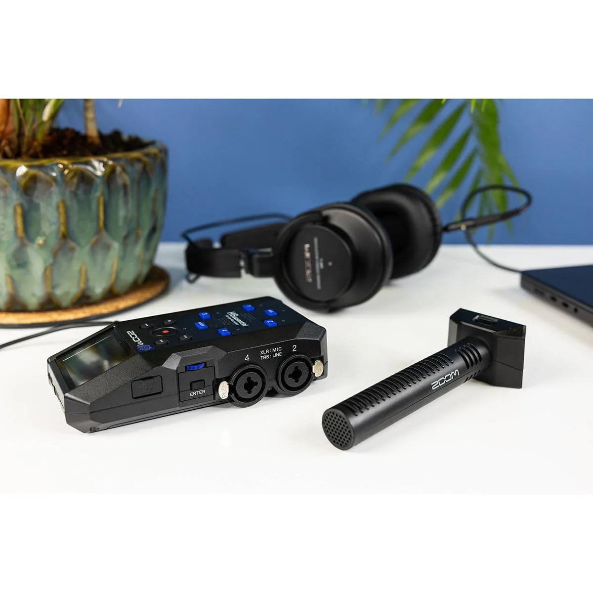 Zoom SSH-6E Supercardioid Condenser Stereo Shotgun Microphone Capsule for H6essential Portable Recorder - Image 5